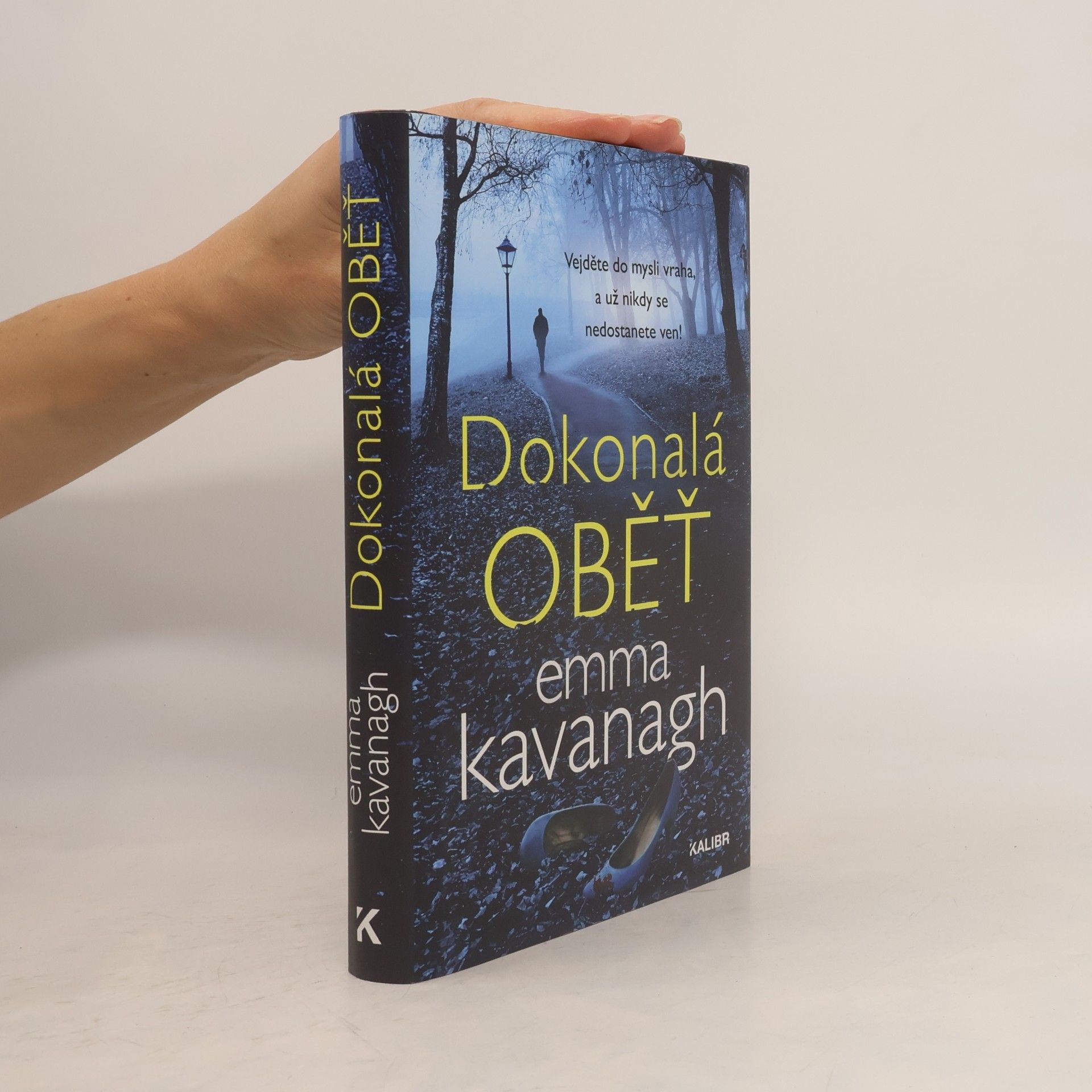 Emma Kavanagh Dokonalá oběť