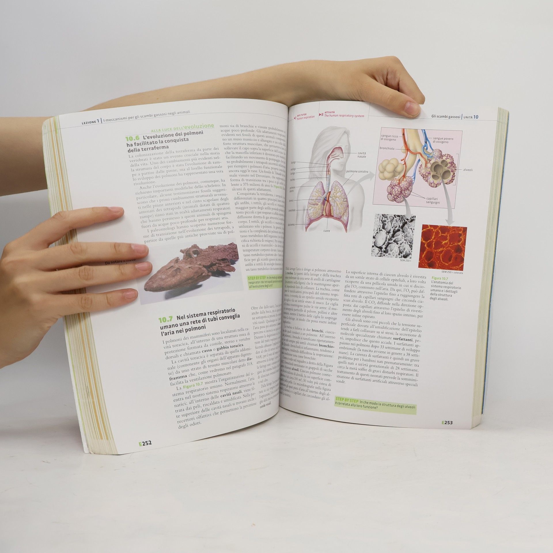 Biologia. Vol. unico. Per le Scuole superiori. Con espansione online