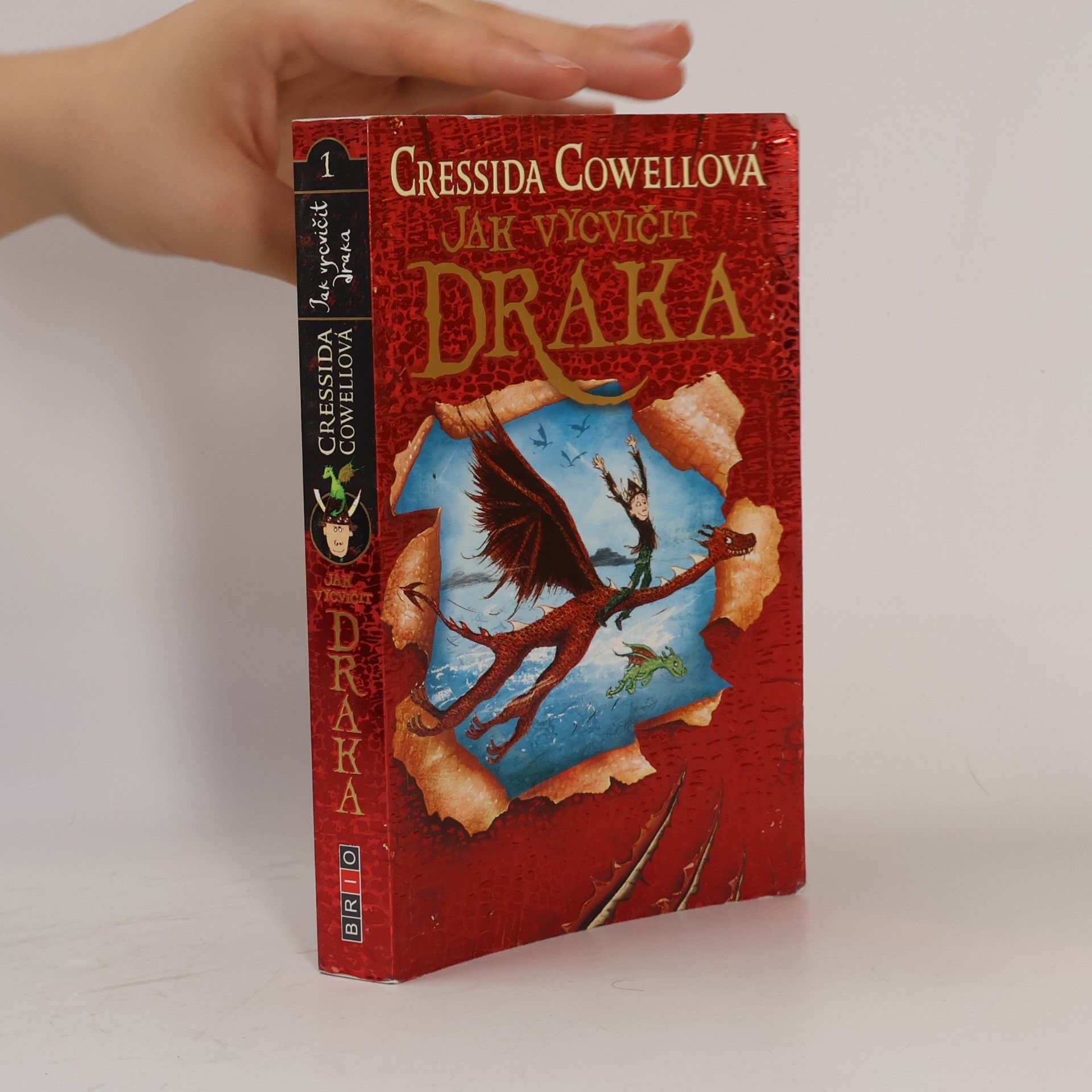 Cressida Cowell Jak vycvičit draka