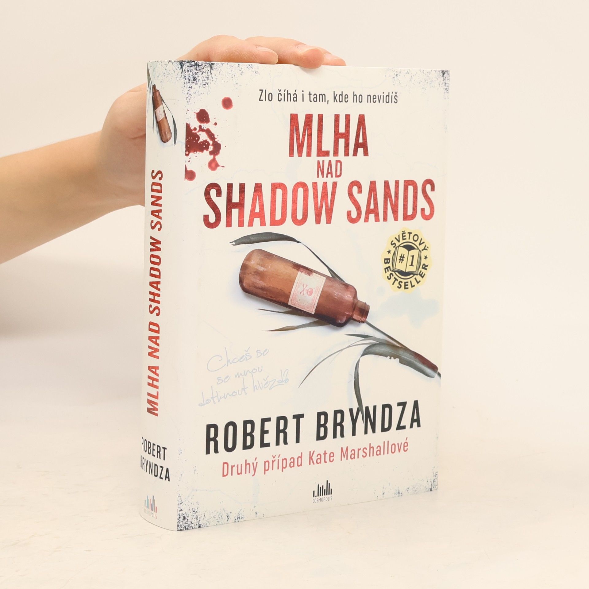 Robert Bryndza Mlha nad Shadow Sands