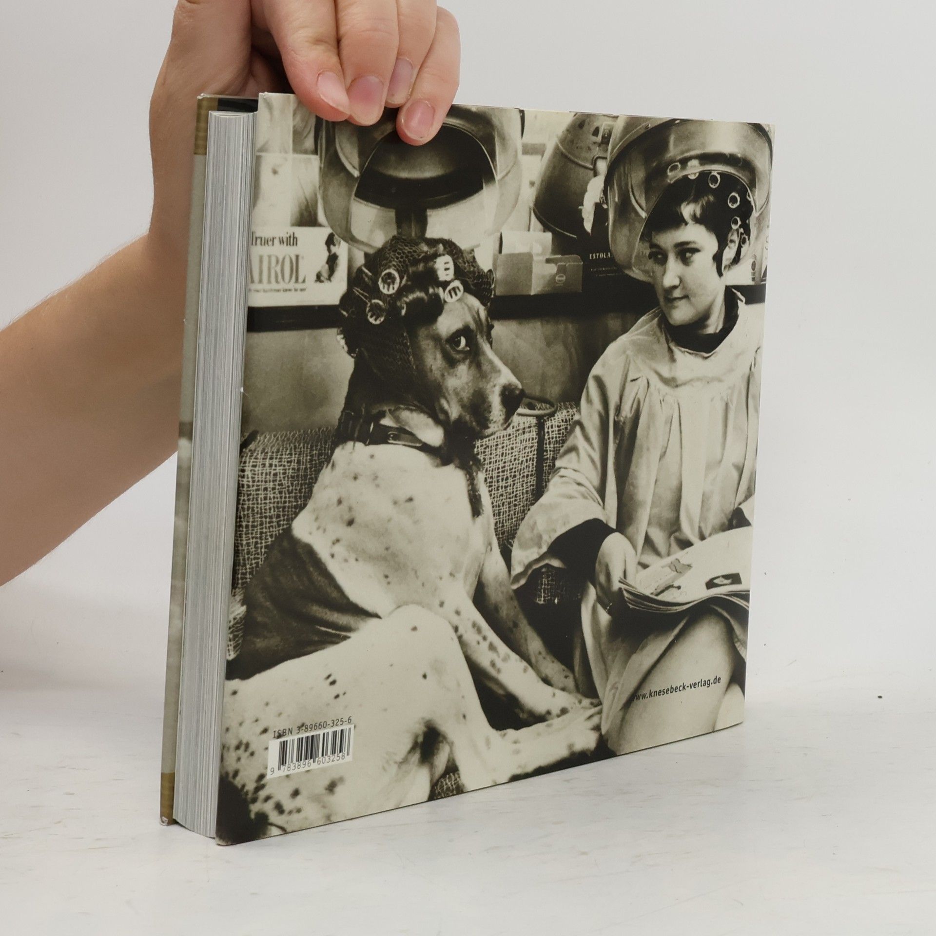 Jean-Claude Suarès Das Hunde-Buch