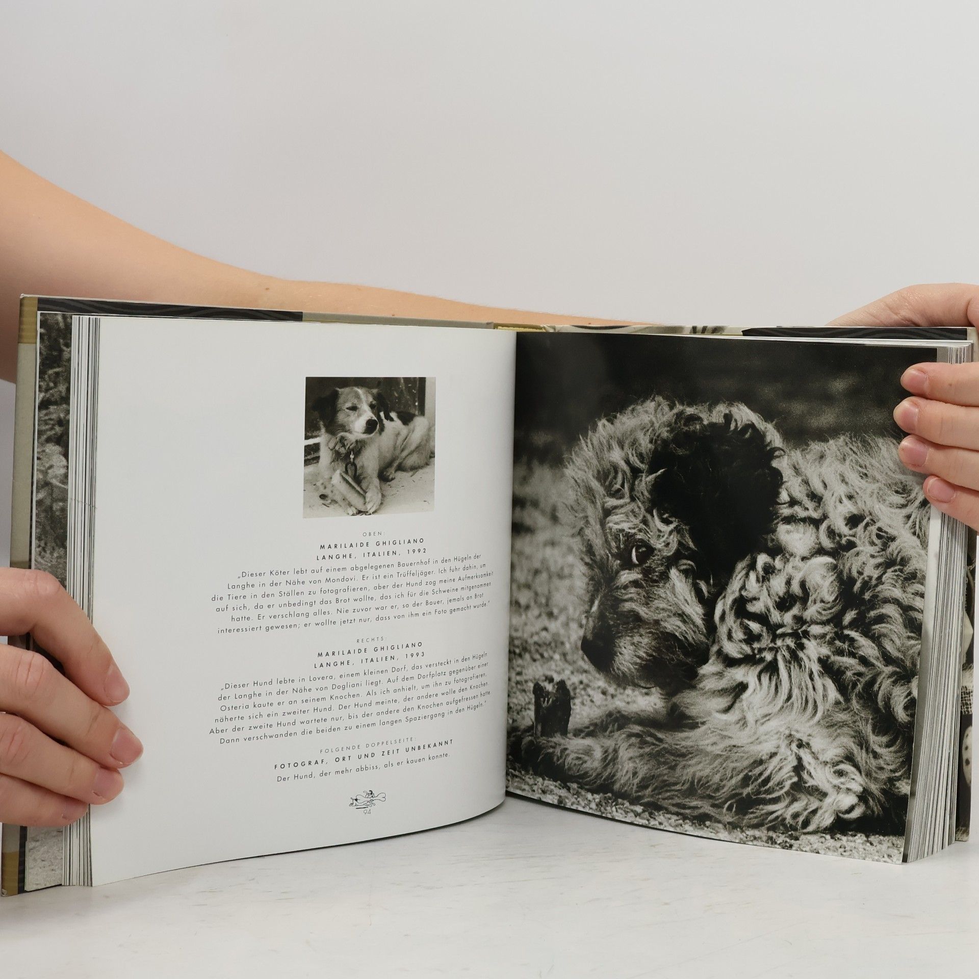 Jean-Claude Suarès Das Hunde-Buch