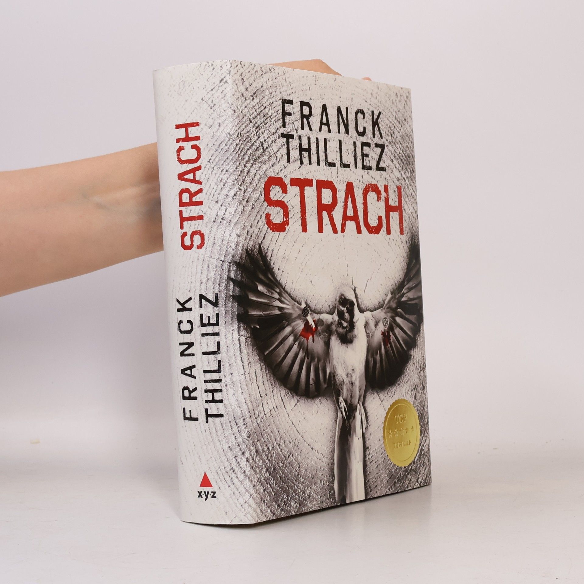 Franck Thilliez Strach