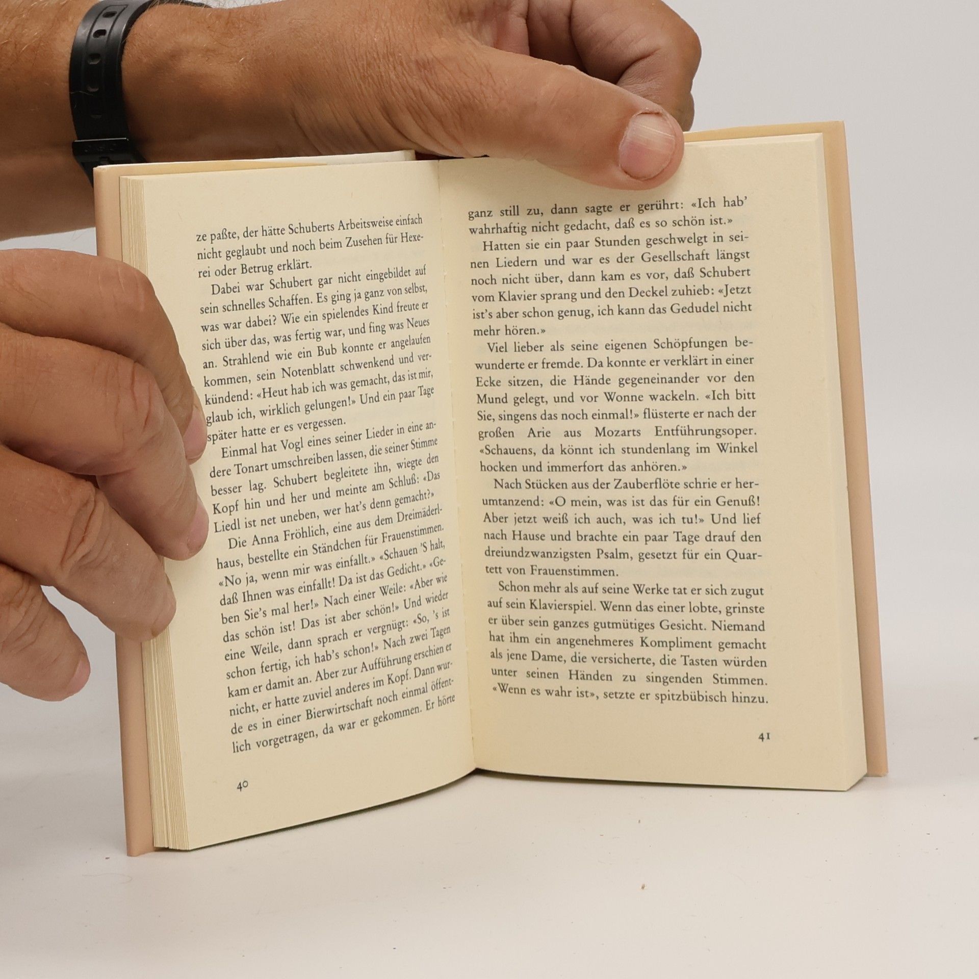 Autorenkollektiv Kleine Bettlektüre für alle, die Schubert lieben.