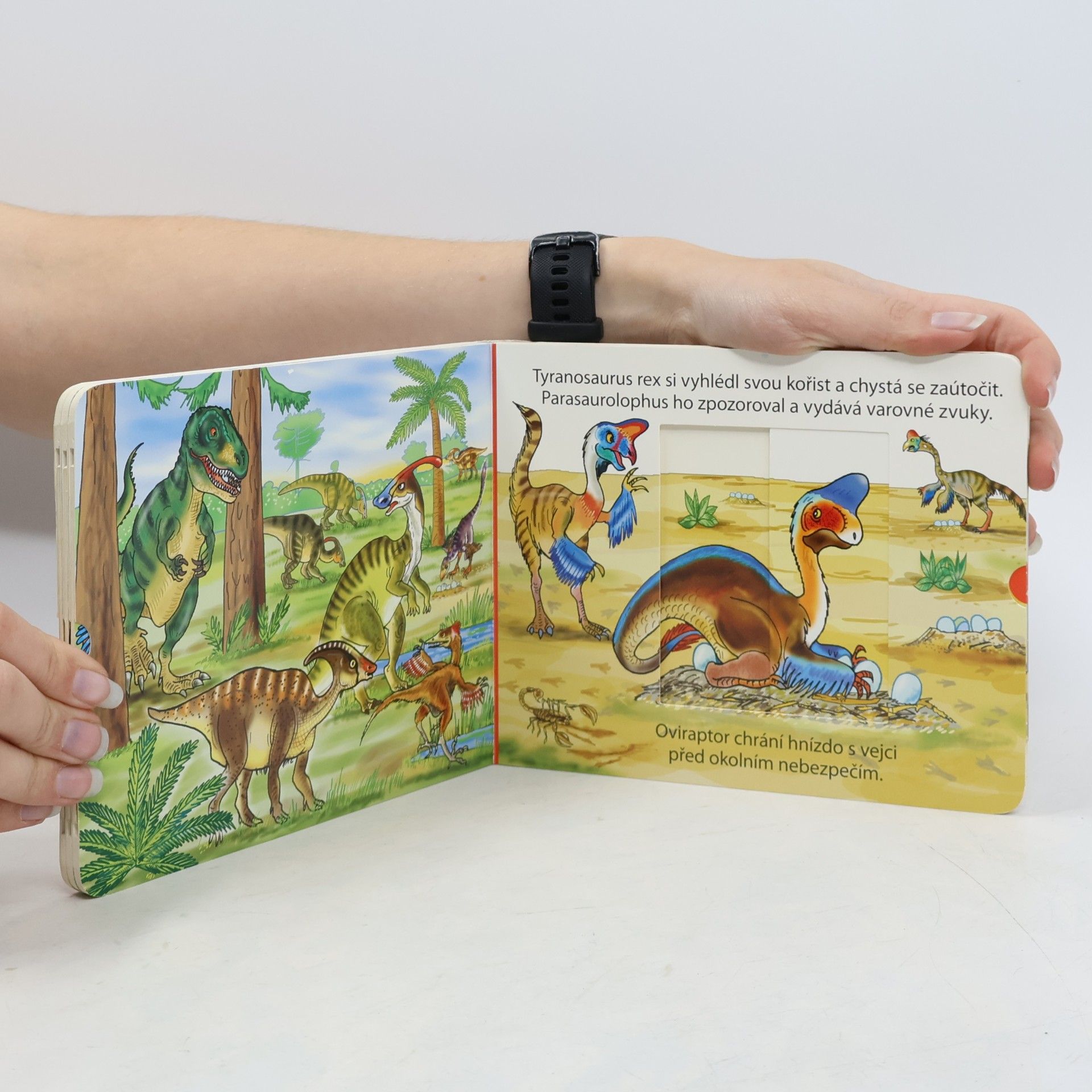 Pavlína Šamalíková S Dinosaury - Zatáhni a otevři okénko