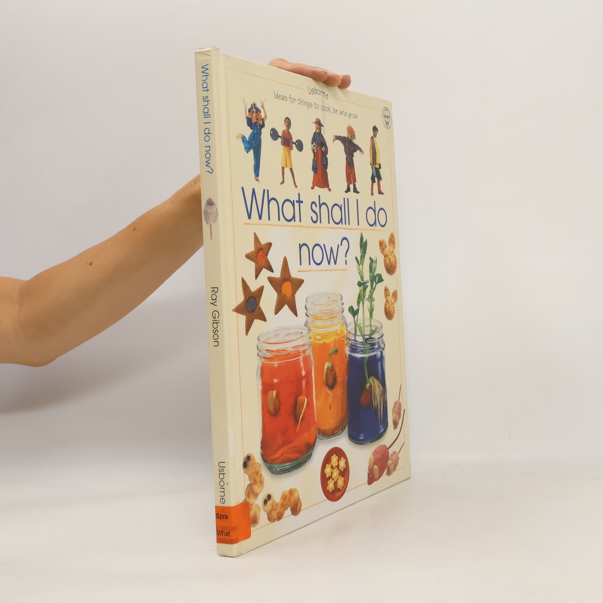Mikki Rain What Shall I Do Now? Ideas for Things to Cook, Be and Grow