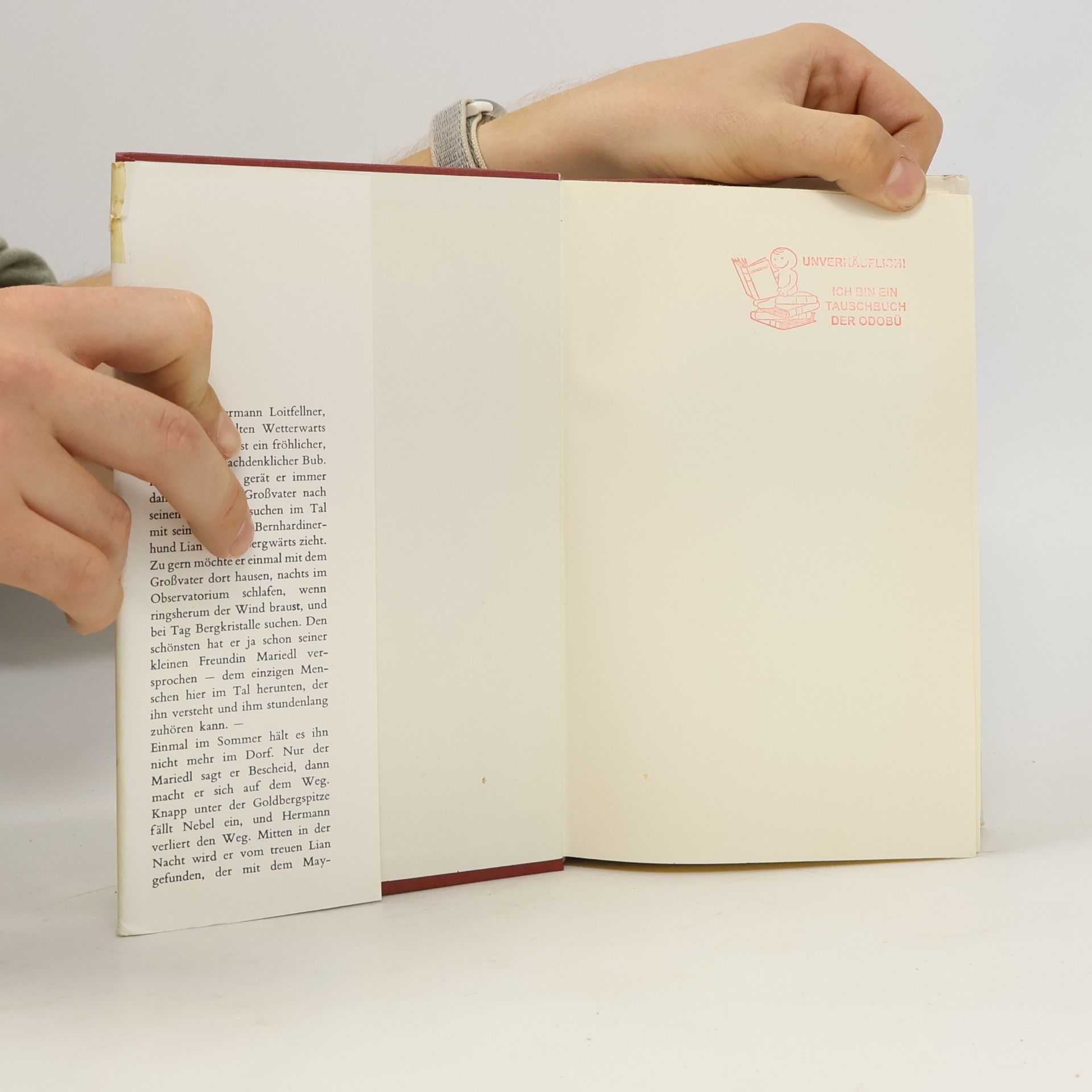 Edmund Josef Bendl Der Sonnblick ruft