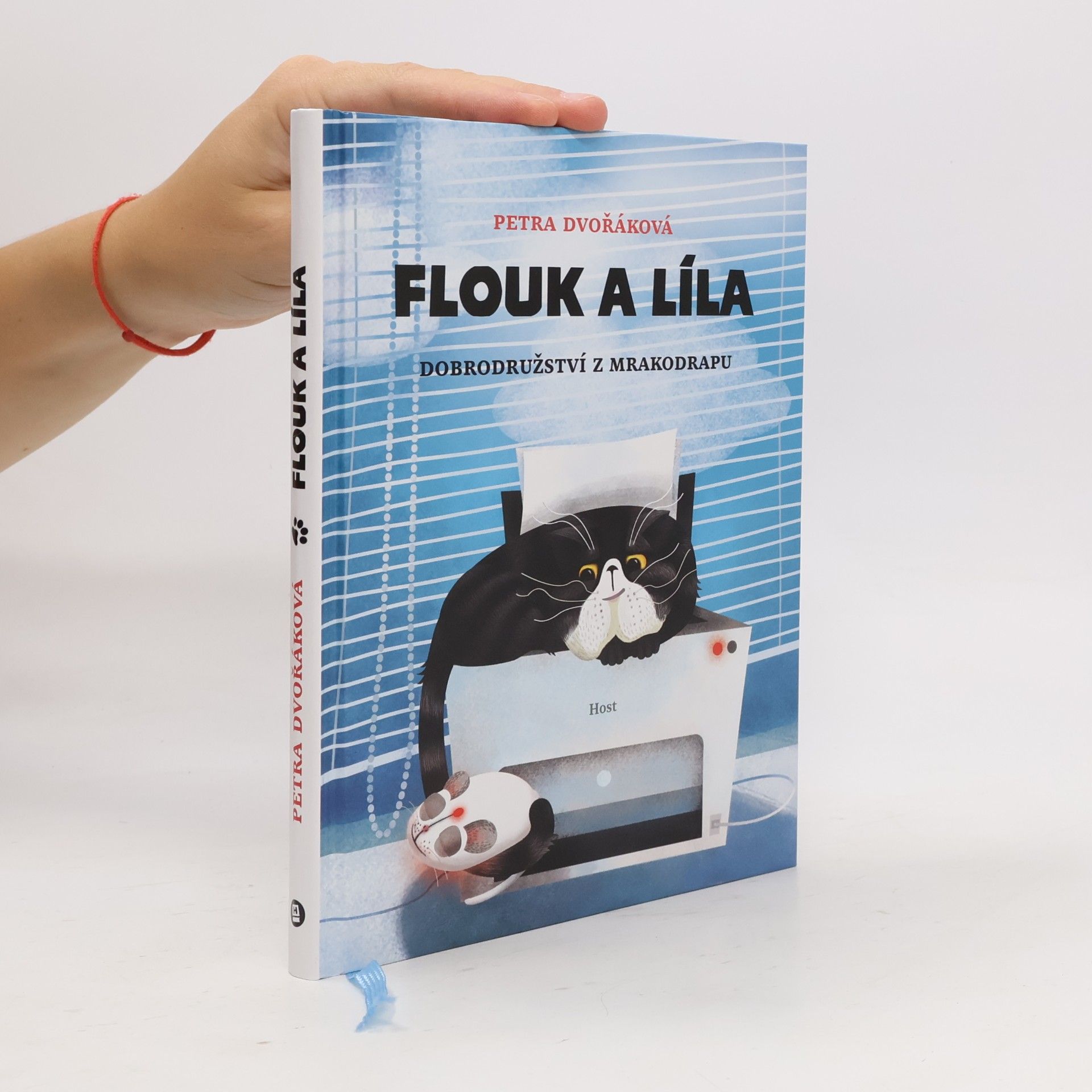 Petra Dvořáková Flouk a Líla: Dobrodružství z mrakodrapu