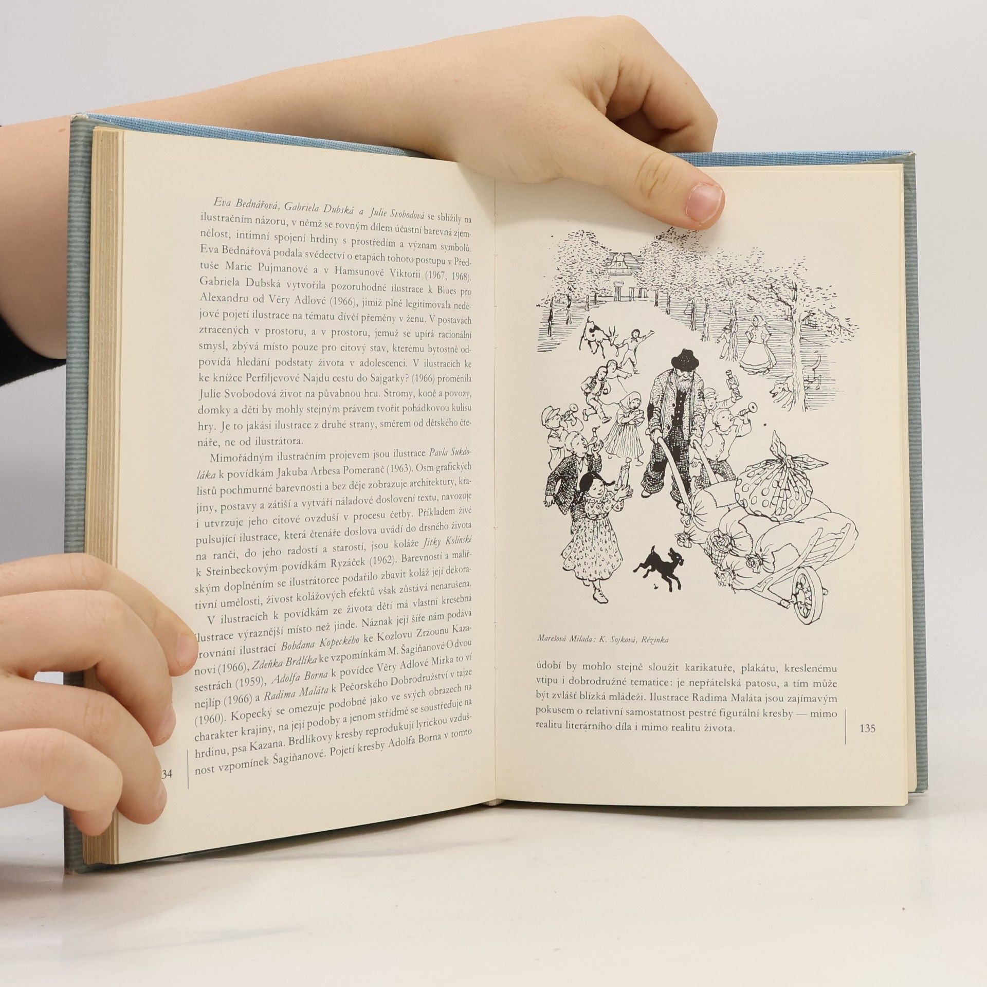 František Holešovský Glosy. K vývoji české ilustrace pro děti
