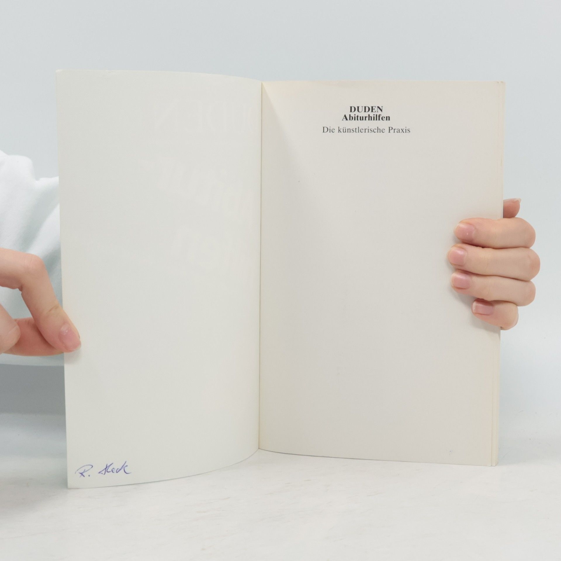 Hans Hermann Müller Duden: Abiturhilfen Kunst