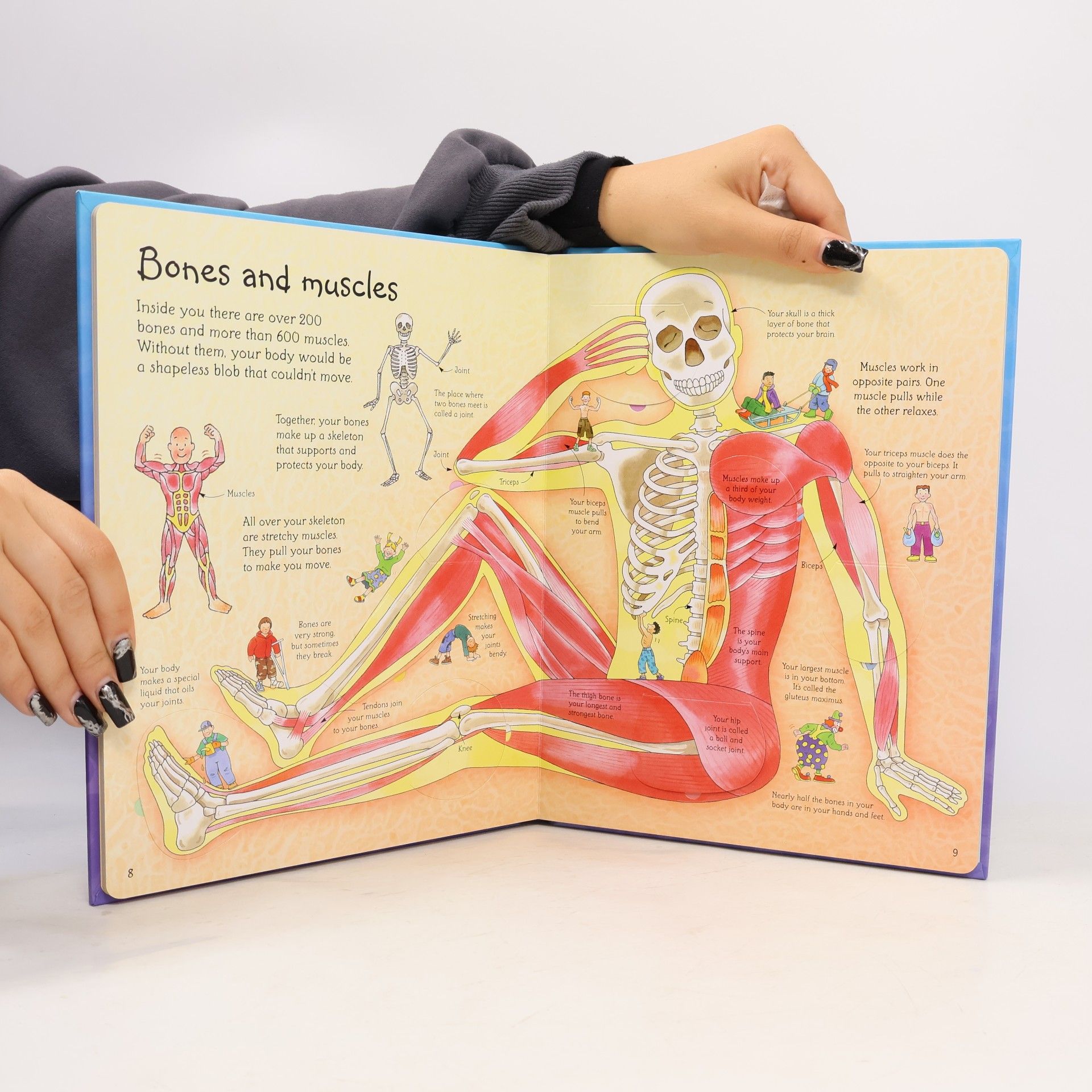 Katie Daynes See inside your body : with over 50 flaps to lift
