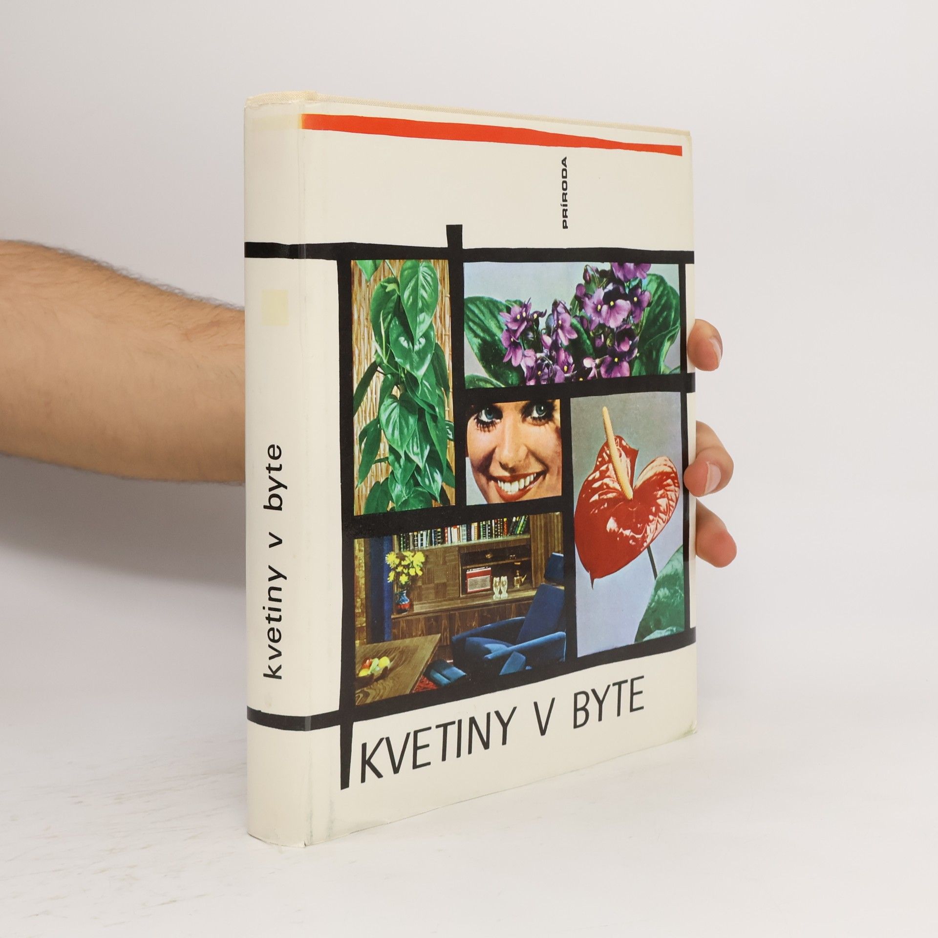 Jaroslav Machovec Kvetiny v byte
