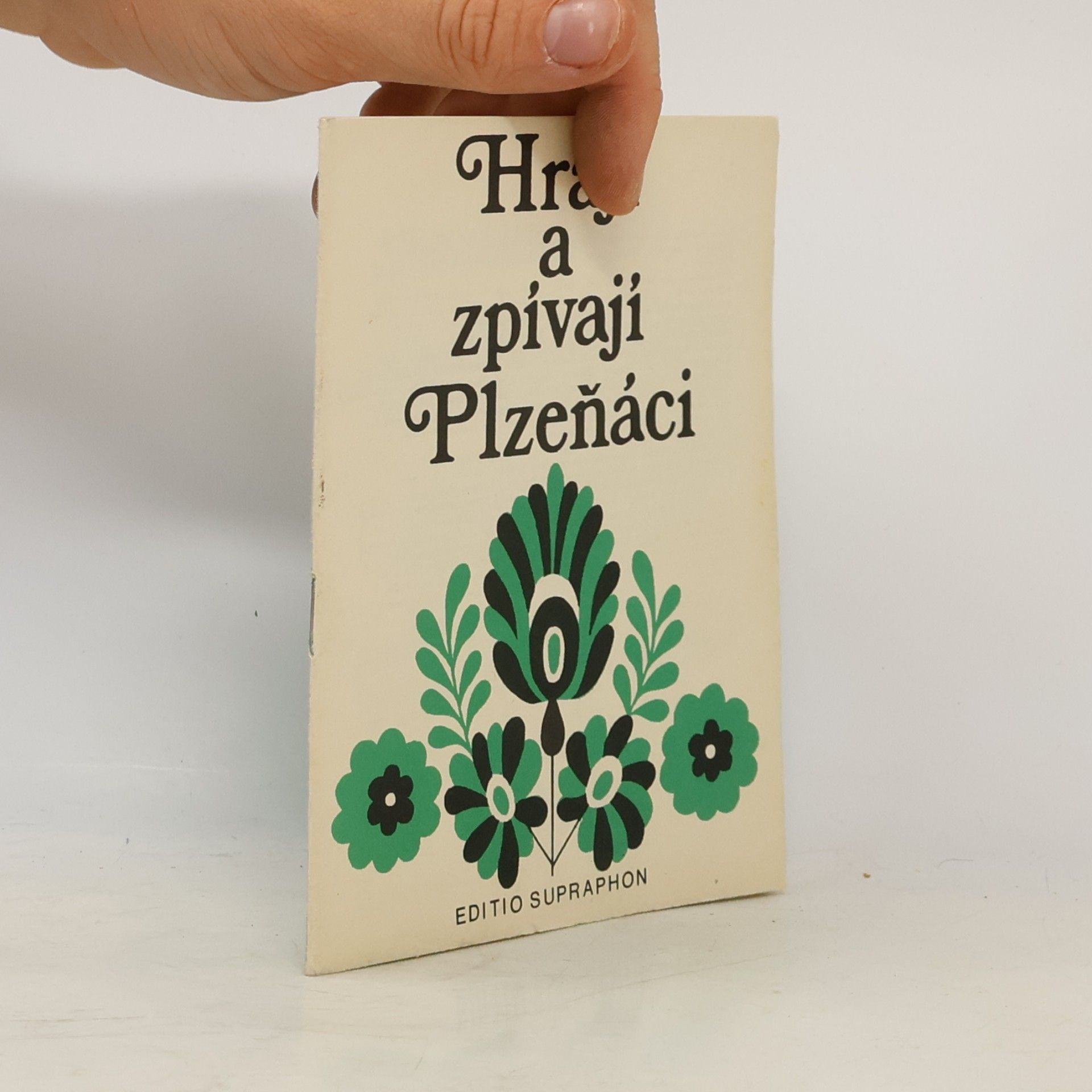 Hrají a zpívají Plzeňáci