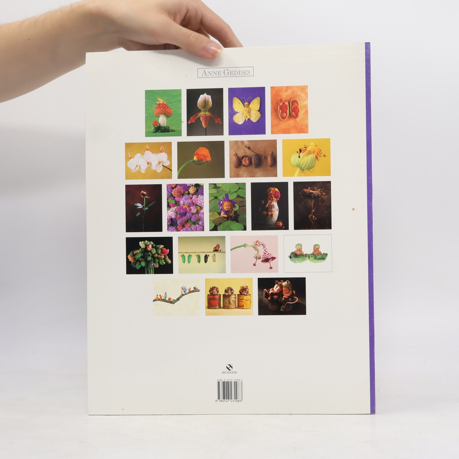 Anne Geddes Down in the garden : Ann Geddes photofolio.