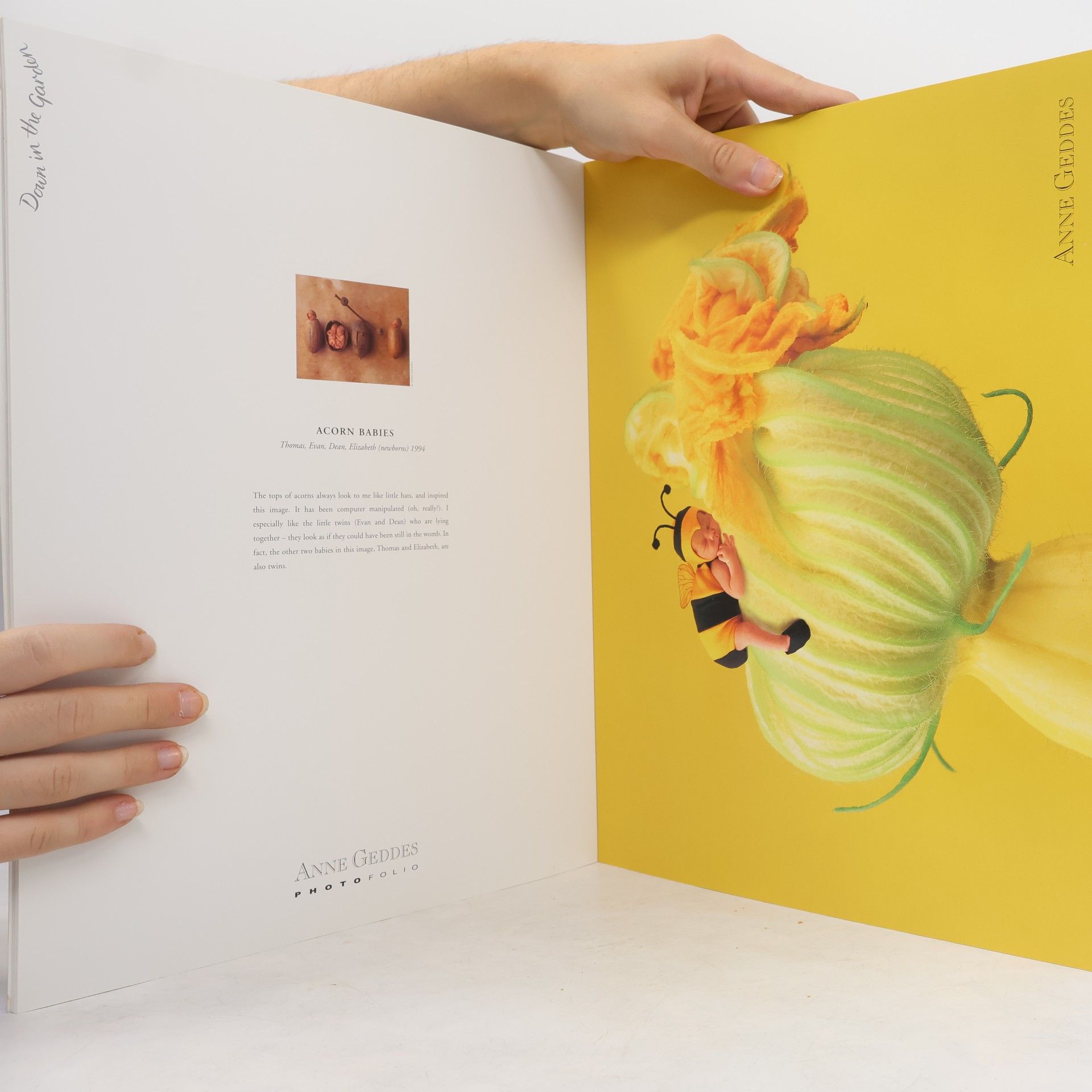 Anne Geddes Down in the garden : Ann Geddes photofolio.