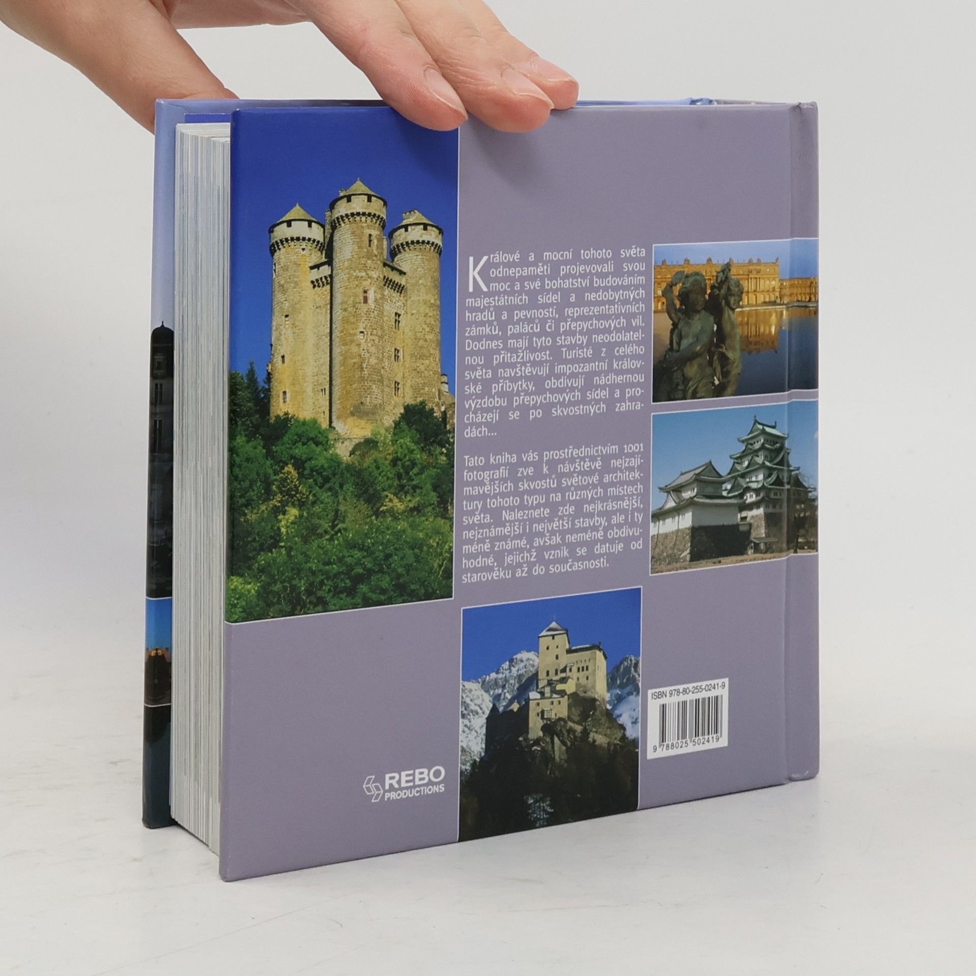 Bayle Francoise Hrady, zámky, paláce: 1001 fotografií
