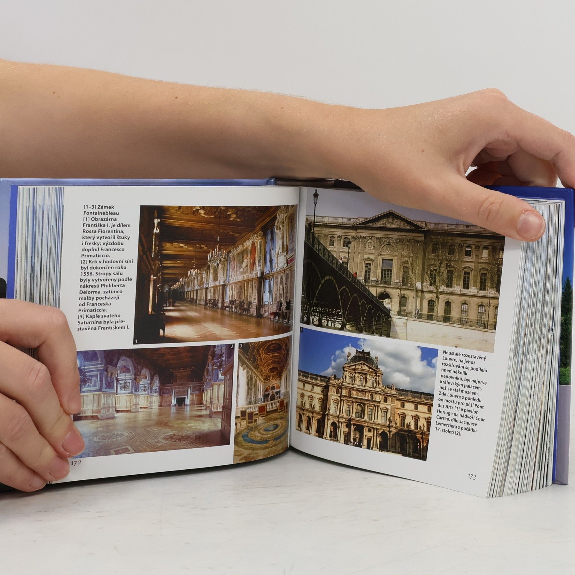 Bayle Francoise Hrady, zámky, paláce: 1001 fotografií