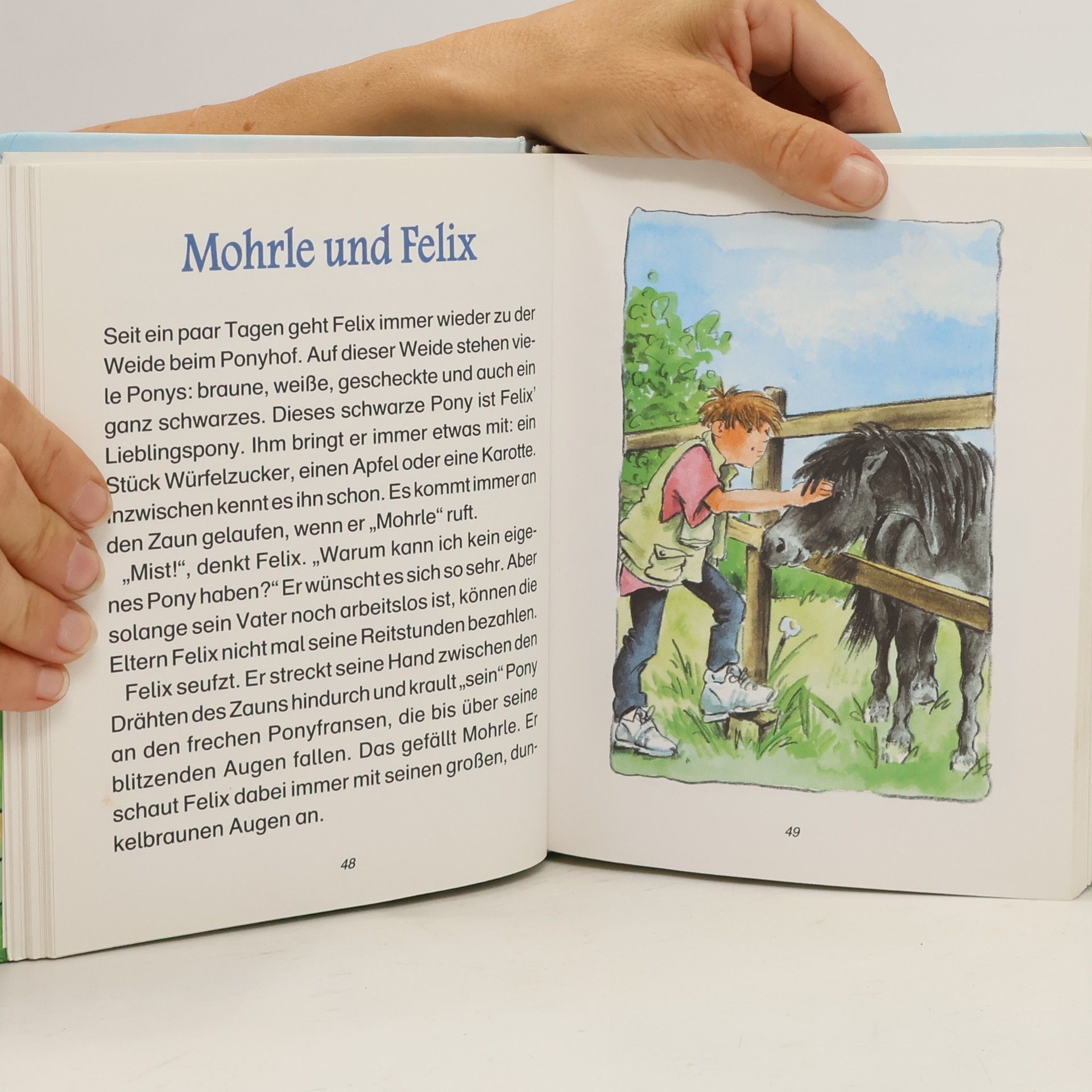 Anne Braun Pferdegeschichten