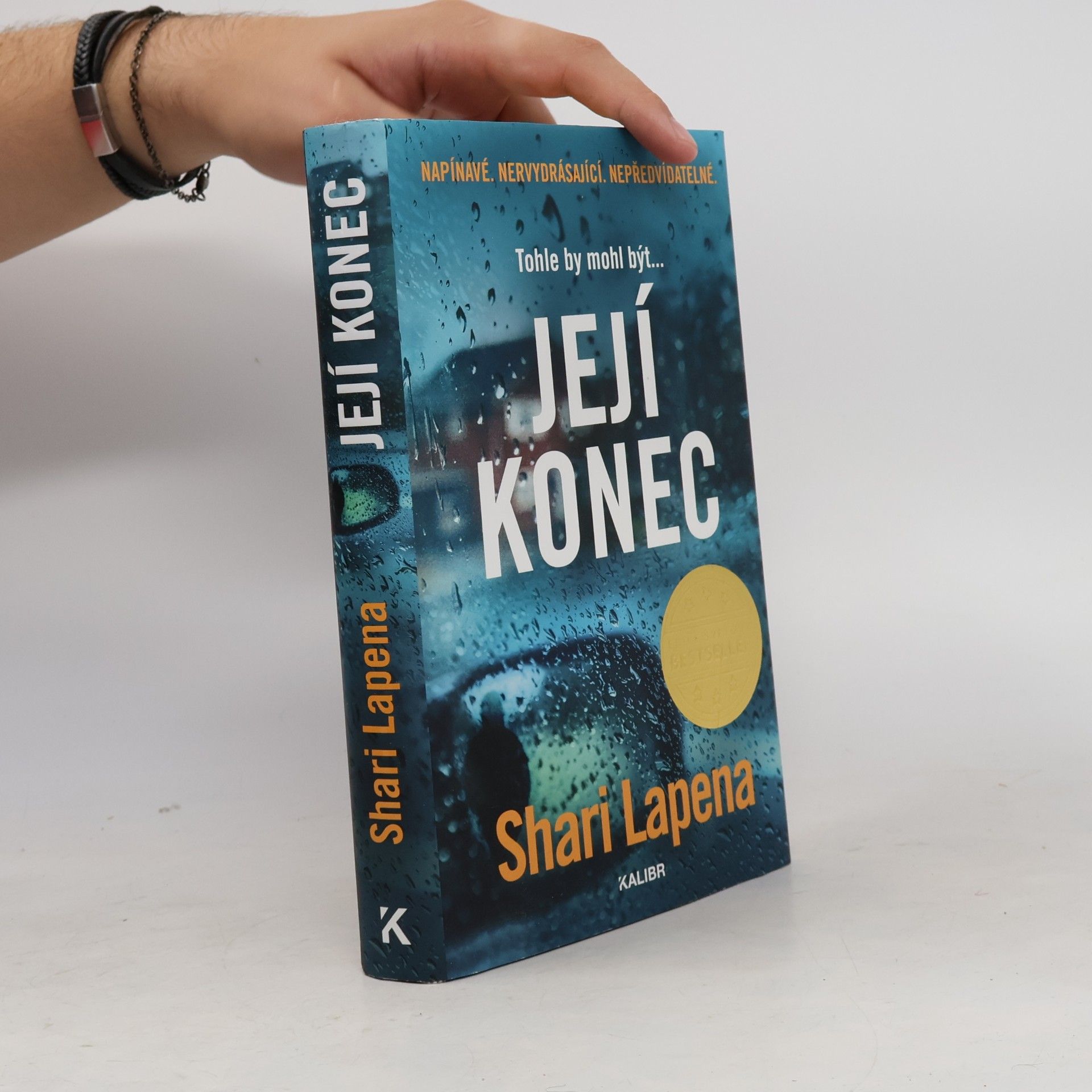 Shari Lapena Její konec