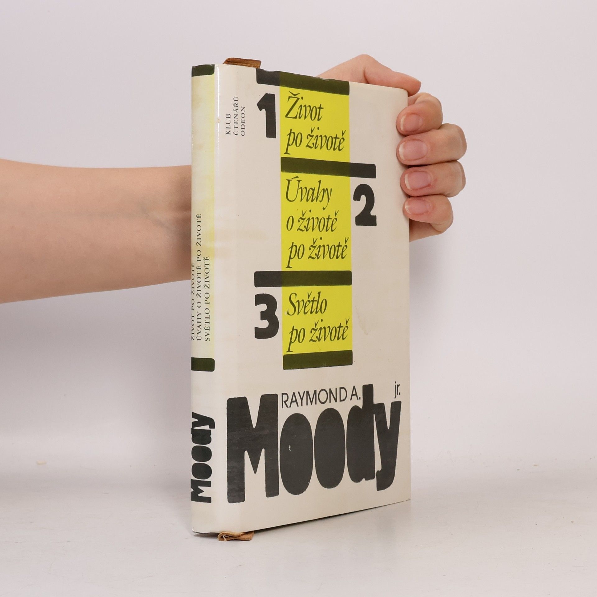 Raymond Moody Život po životě. Úvahy o životě po životě. Světlo po životě