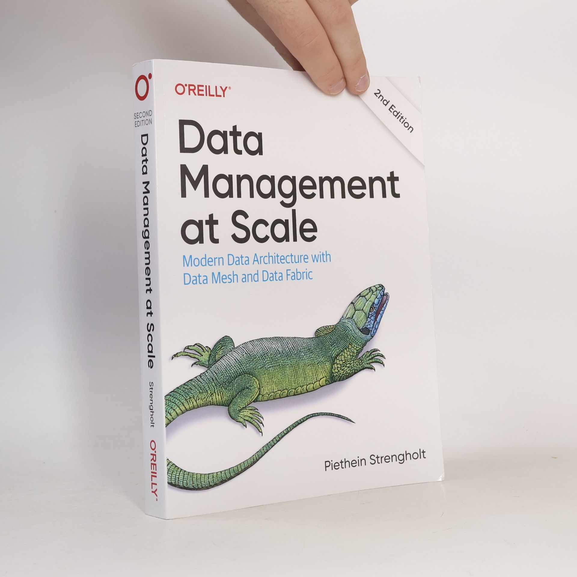 Piethein Strengholt Data Management at Scale