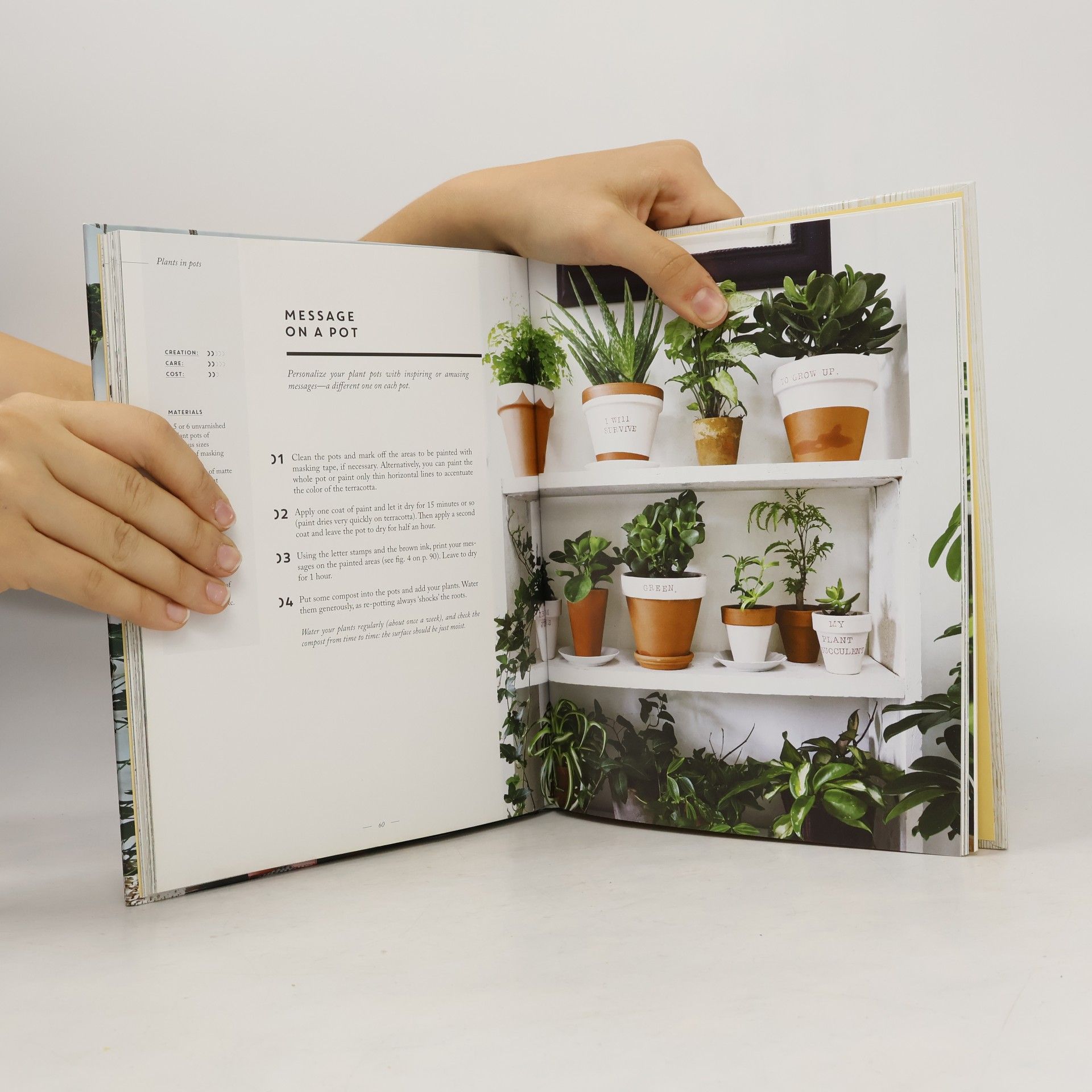 Sonia Lucano Home jungle. Living with plants