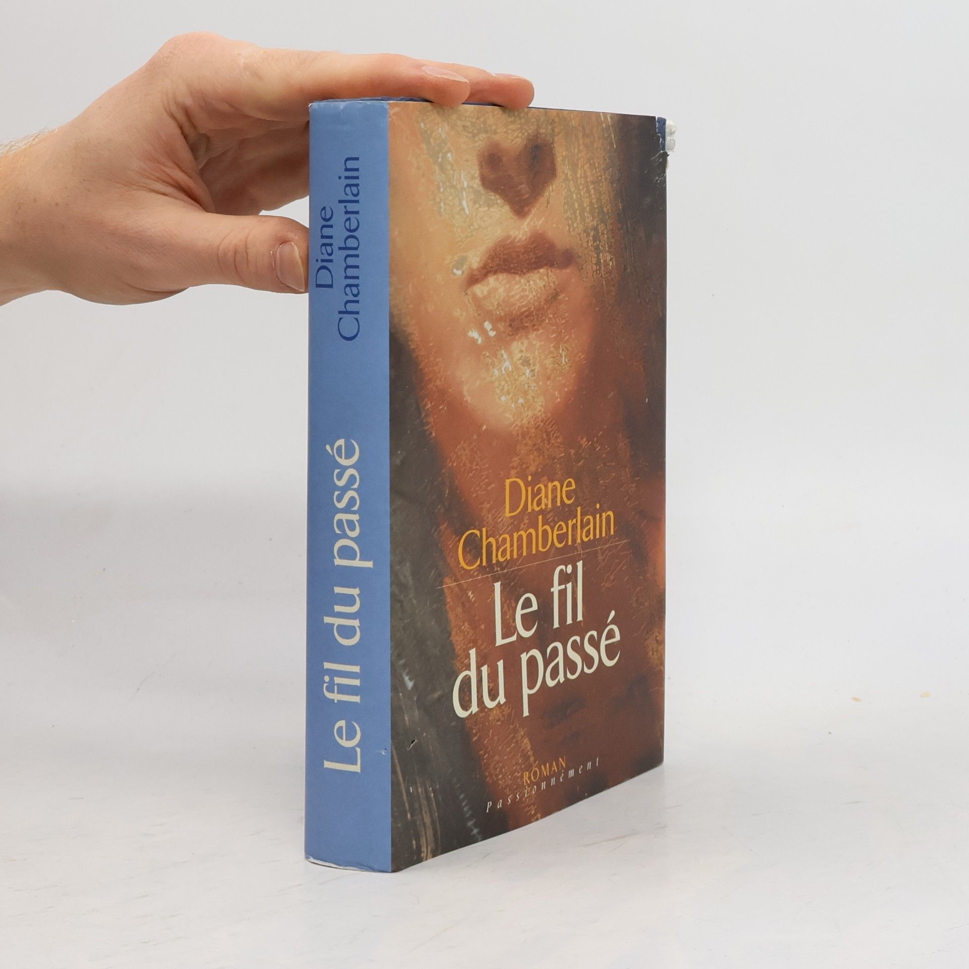 Diane Chamberlain Le fil du passé