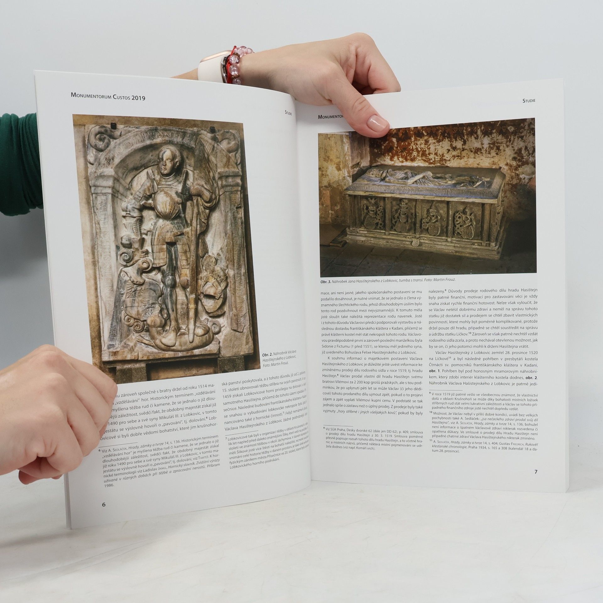 Phdr. Petr Hrubý MONUMENTORUM CUSTOS 2019