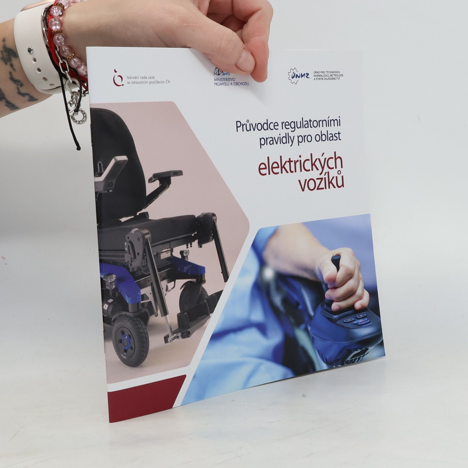 kolektiv Průvodce regulatorními pravidly pro oblast elektrických vozíků