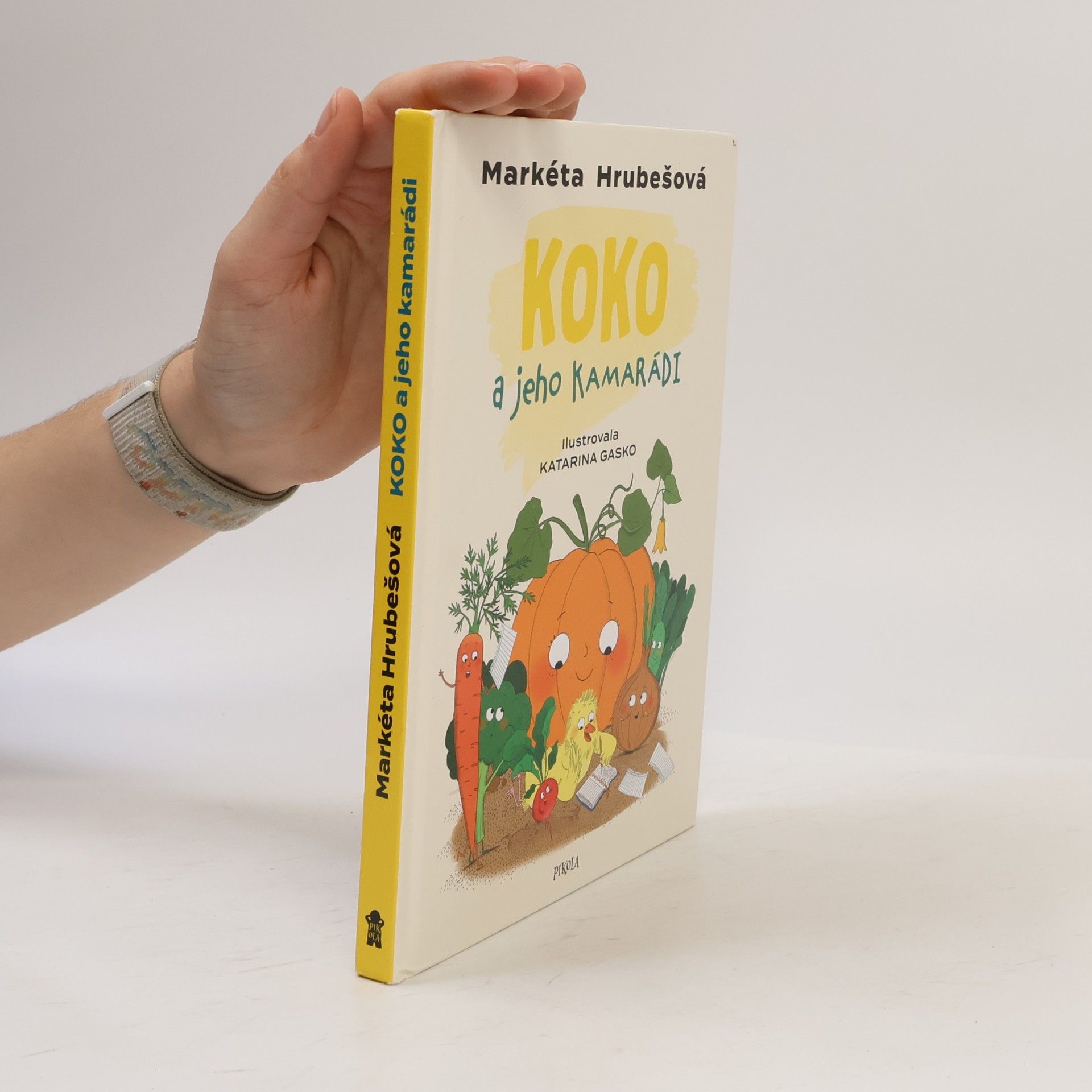 Katarína Gasko Koko a jeho kamarádi