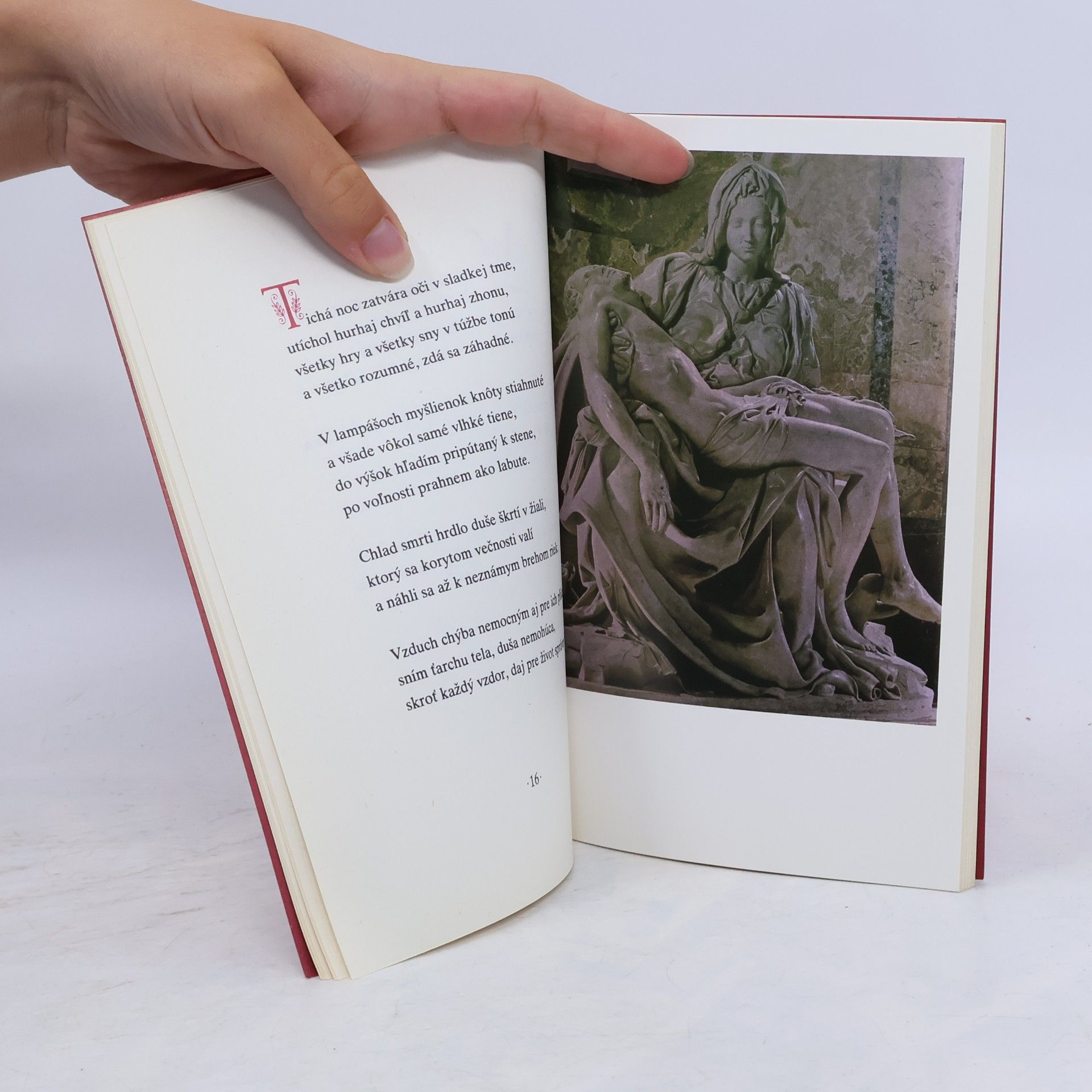 Michelangelo Buonarroti Útrapy v hľadaní