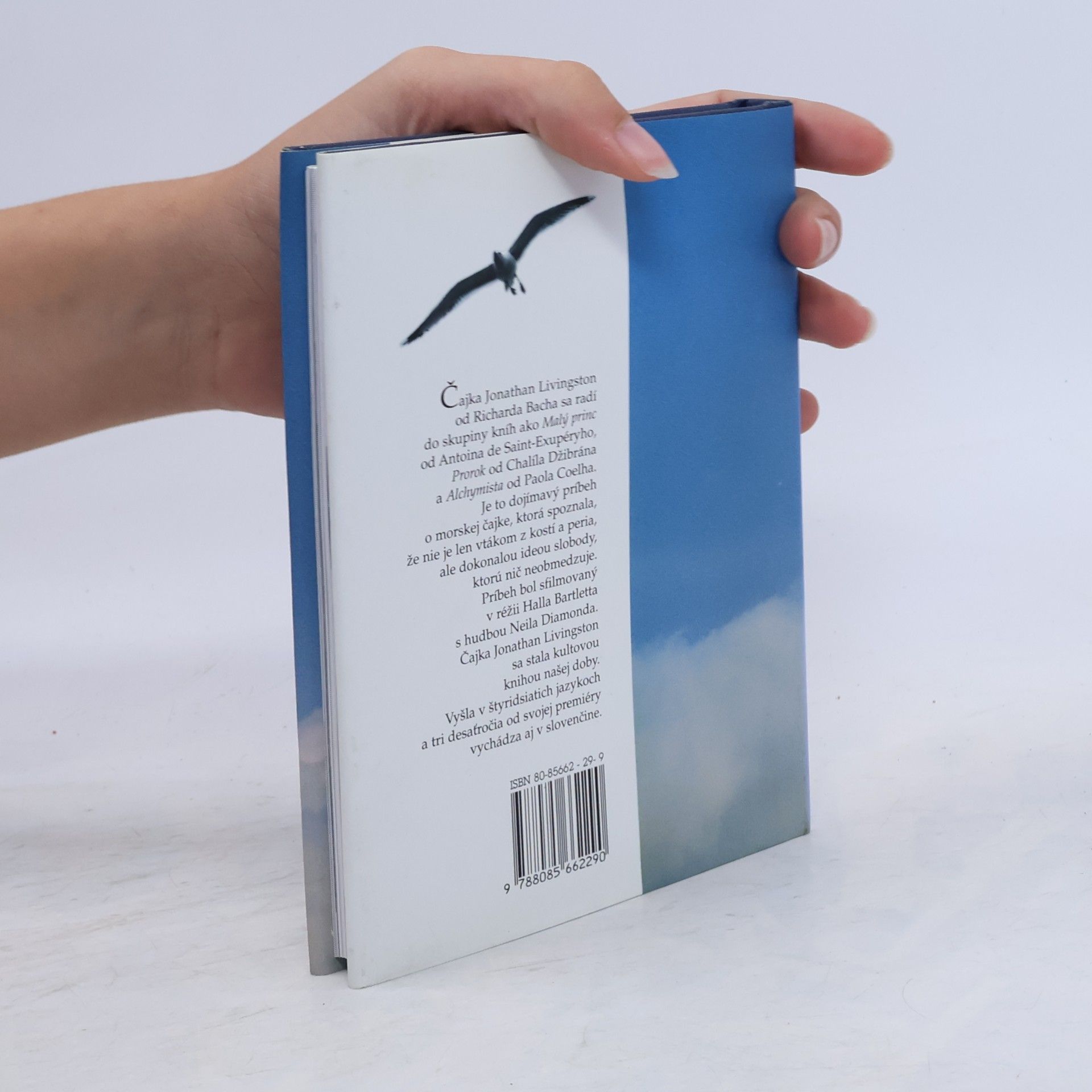 Richard Bach Čajka Jonathan Livingston