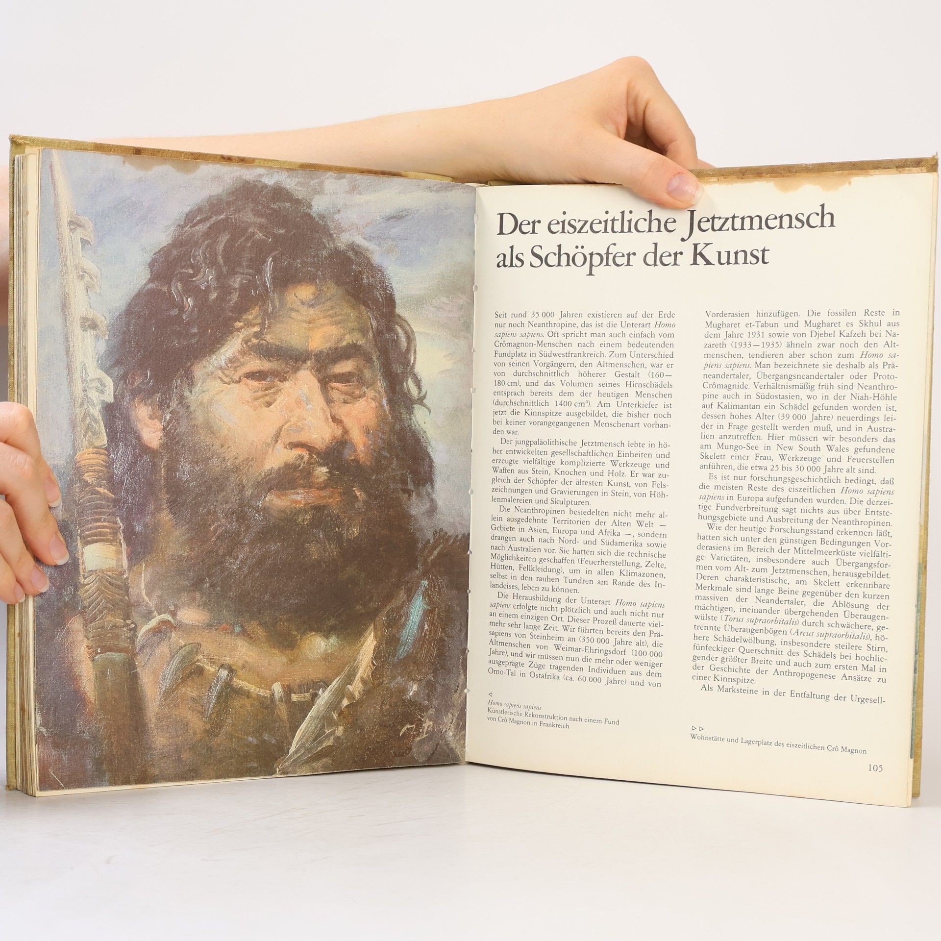 Josef Wolf Menschen der Urzeit