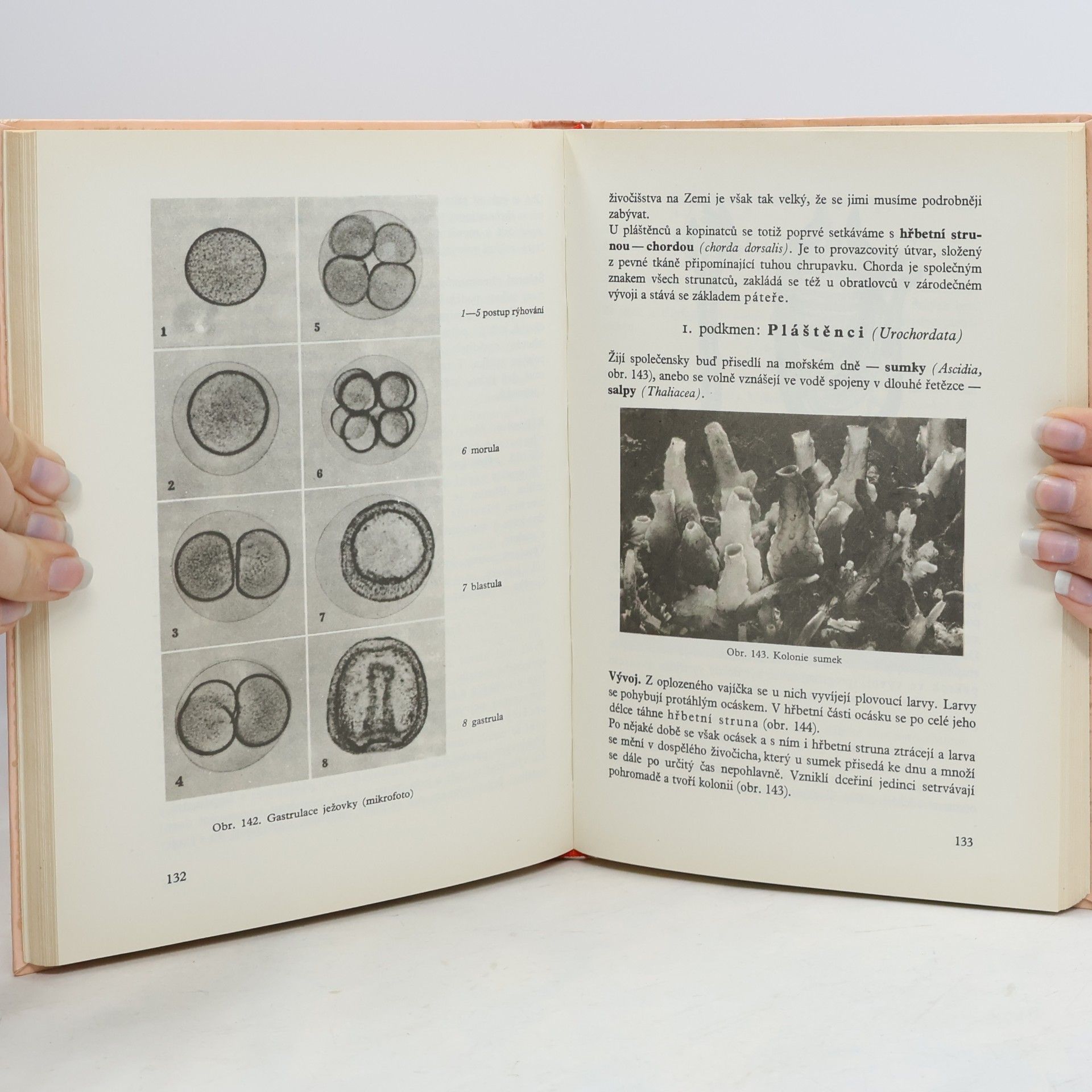 Collectif d'auteurs Zoologie I, II