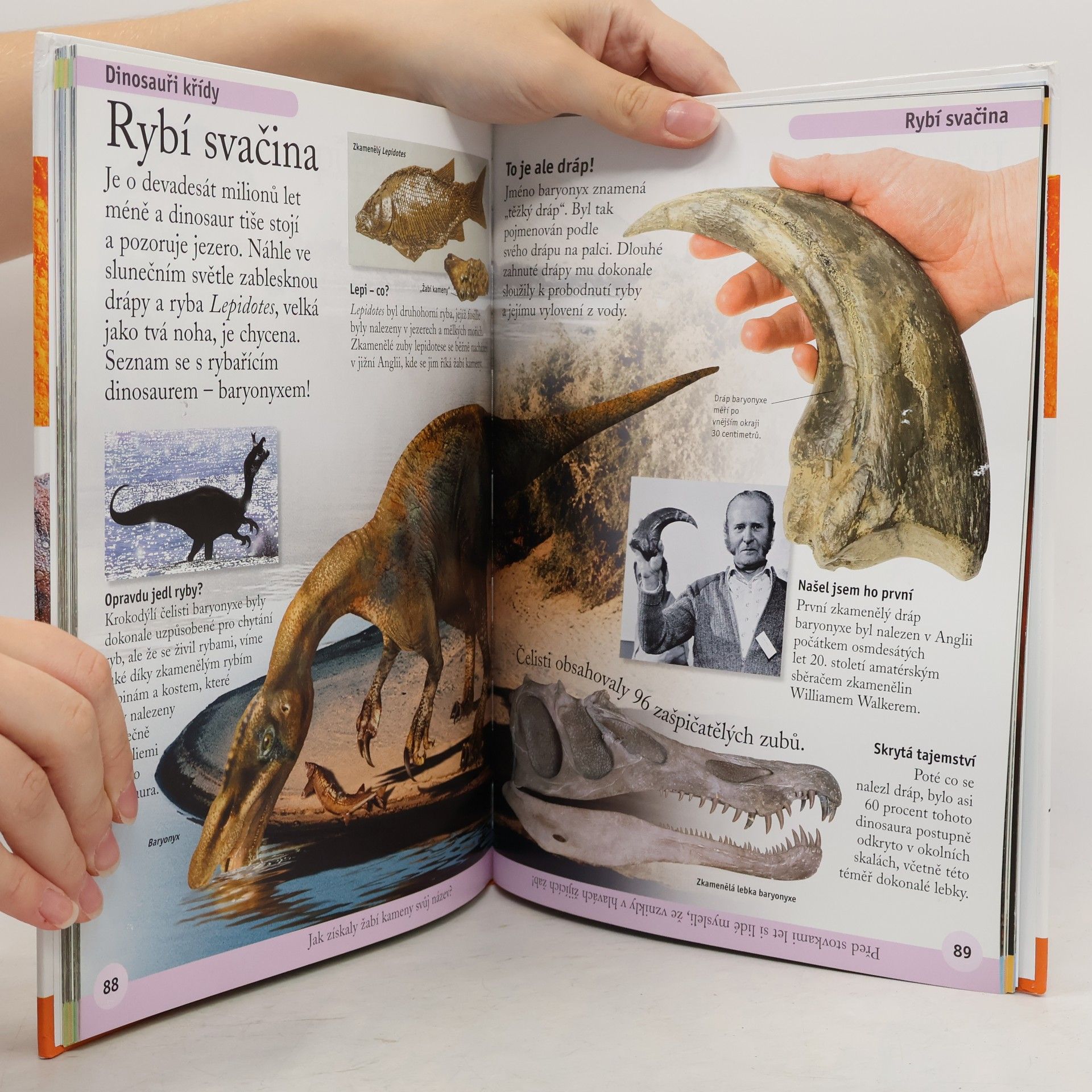 Jan Kadlec První encyklopedie dinosaurů