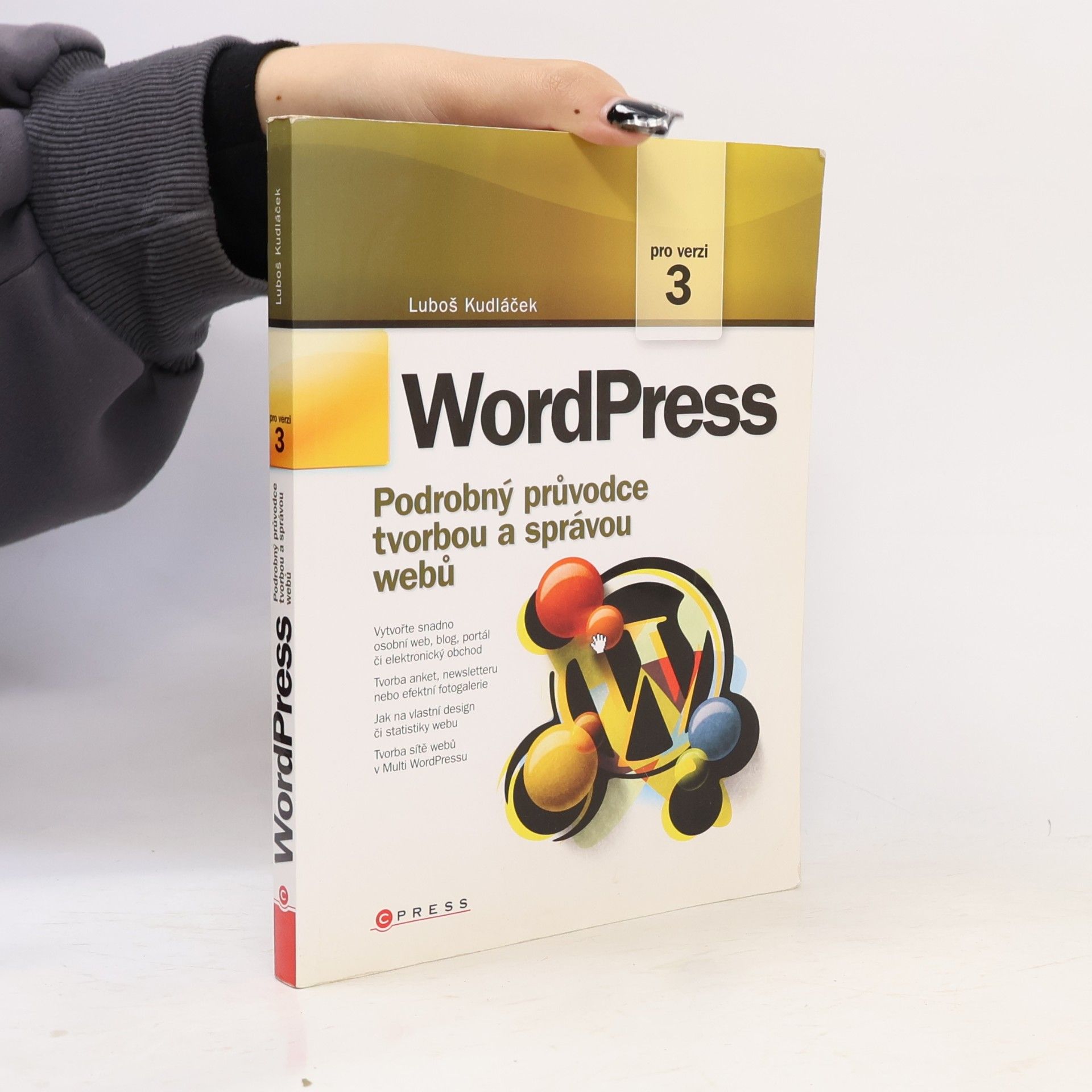 Lubomír Kudláček WordPress: Podrobný průvodce tvorbou a správou webů