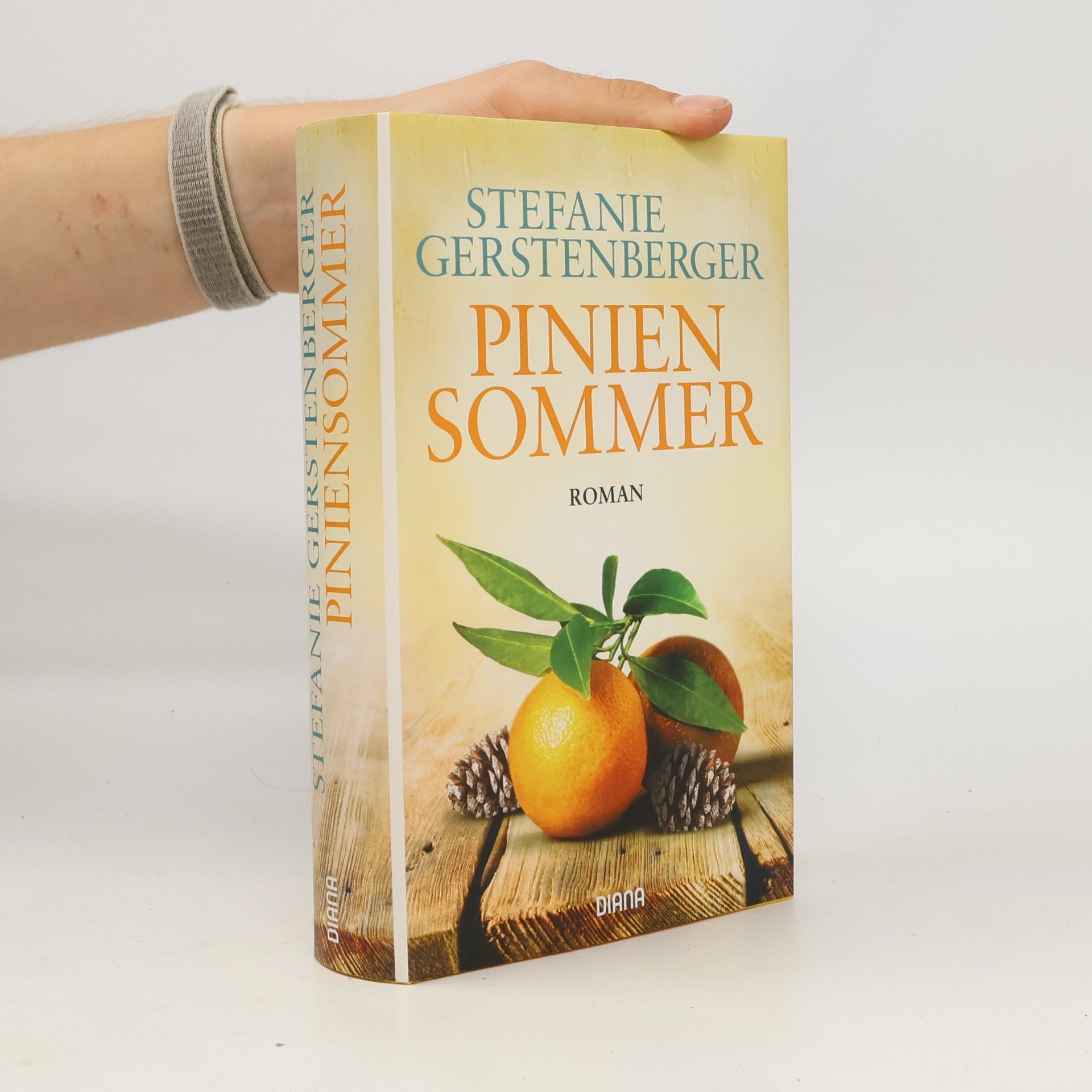 Stefanie Gerstenberger Piniensommer