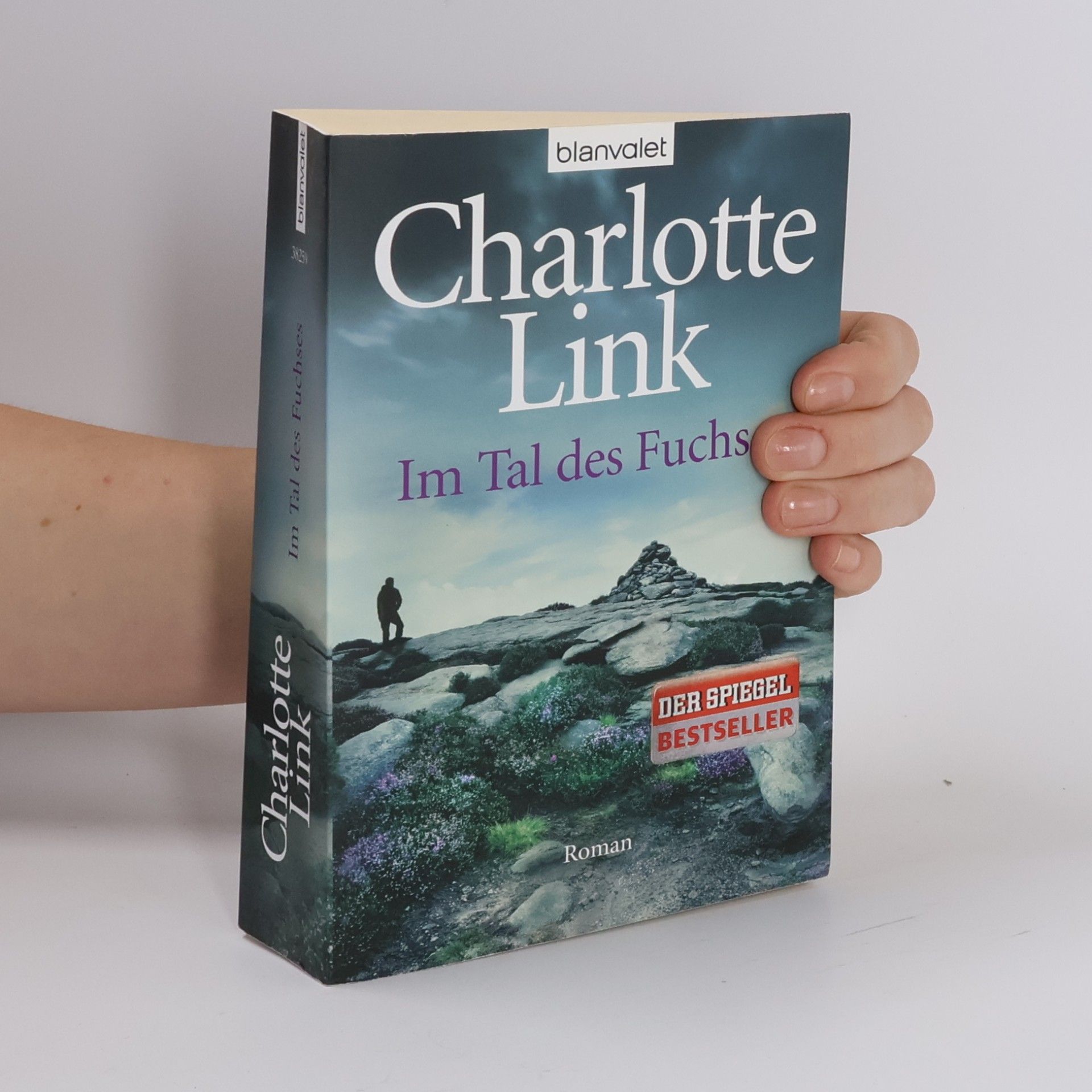 Charlotte Link Im Tal des Fuchses