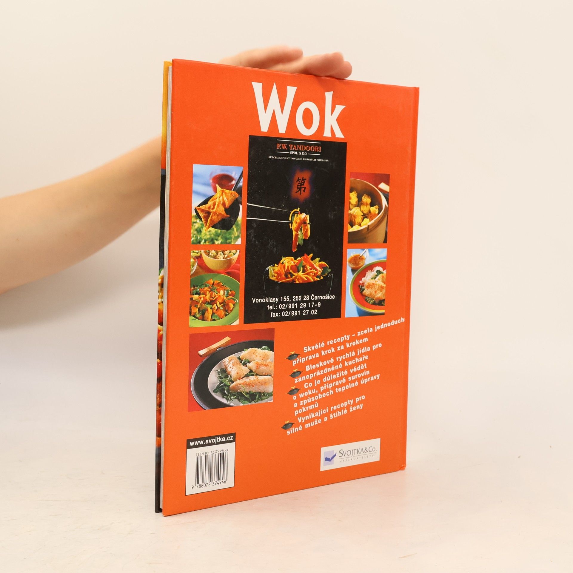 Angelika Ilies Wok snadno a rychle