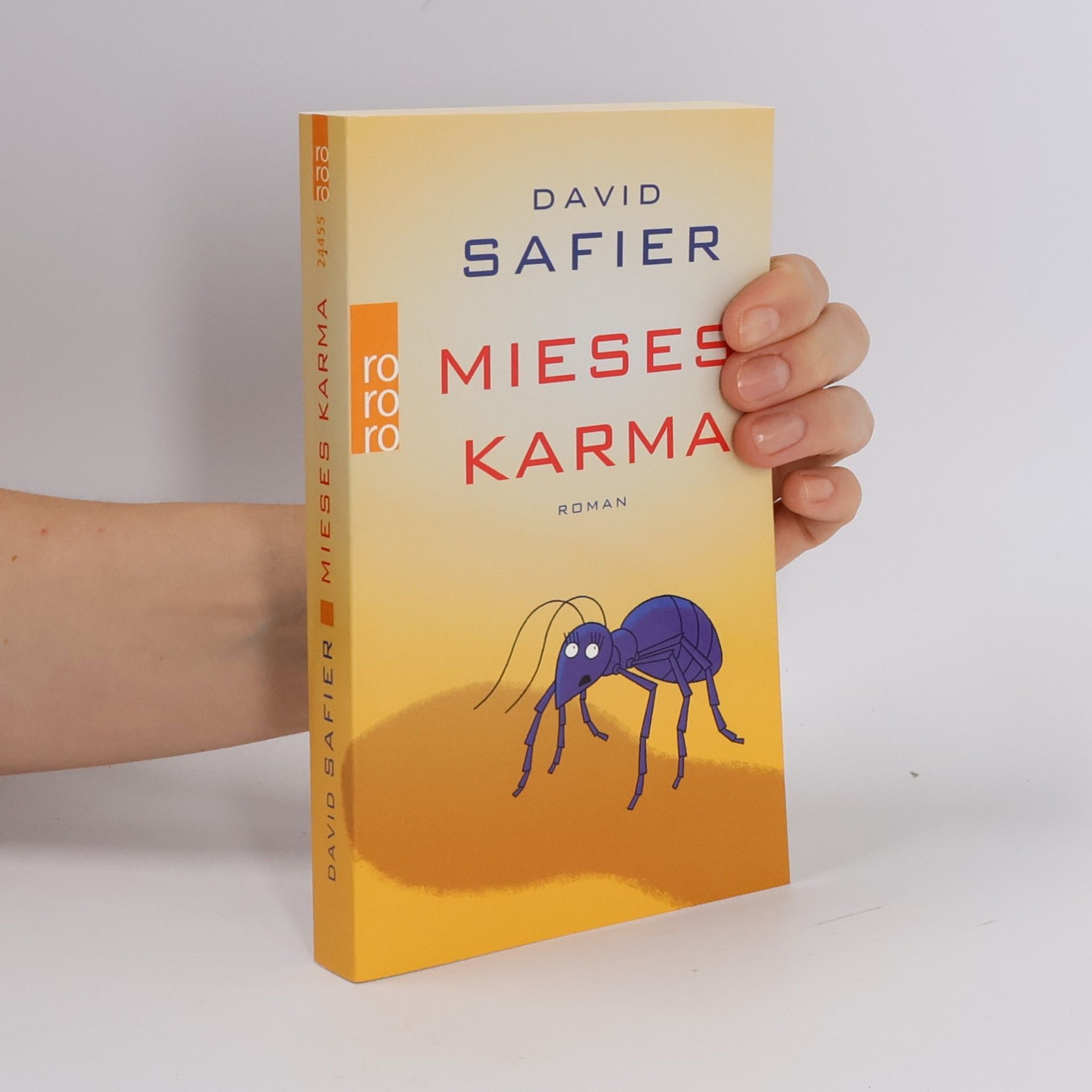David Safier Mieses Karma