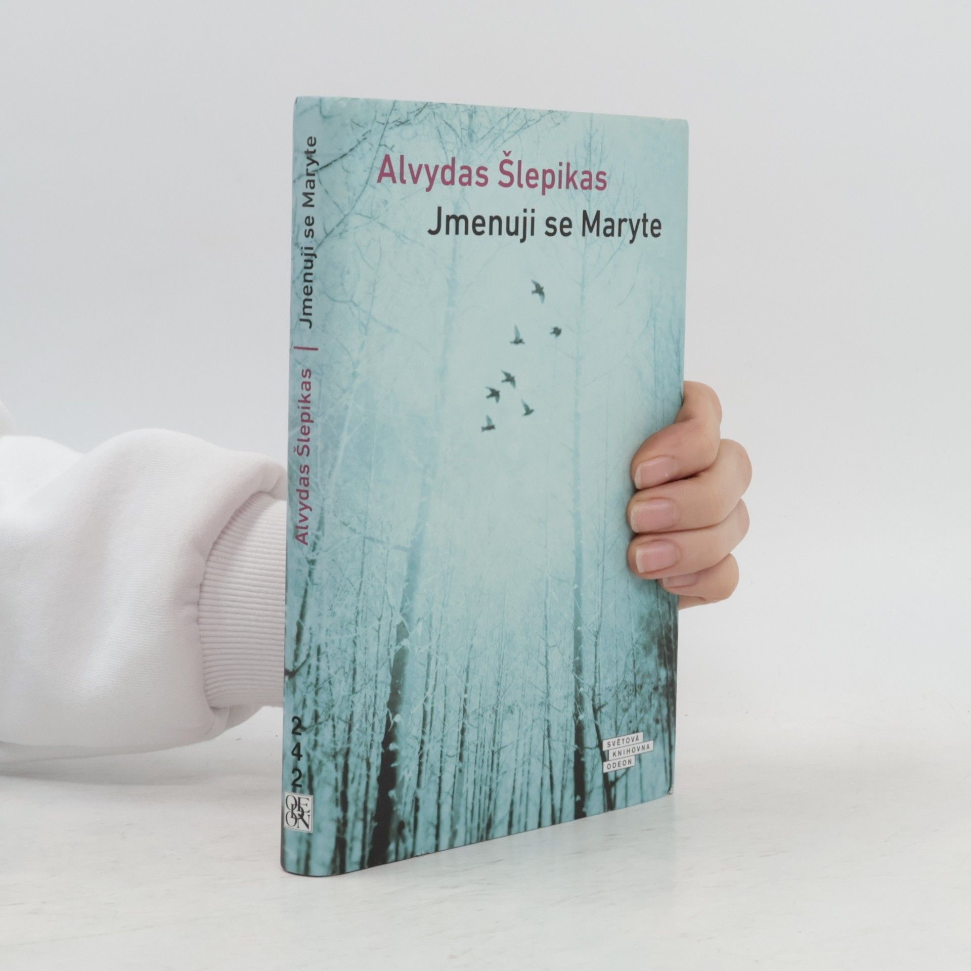 Alvydas Šlepikas Jmenuji se Maryte