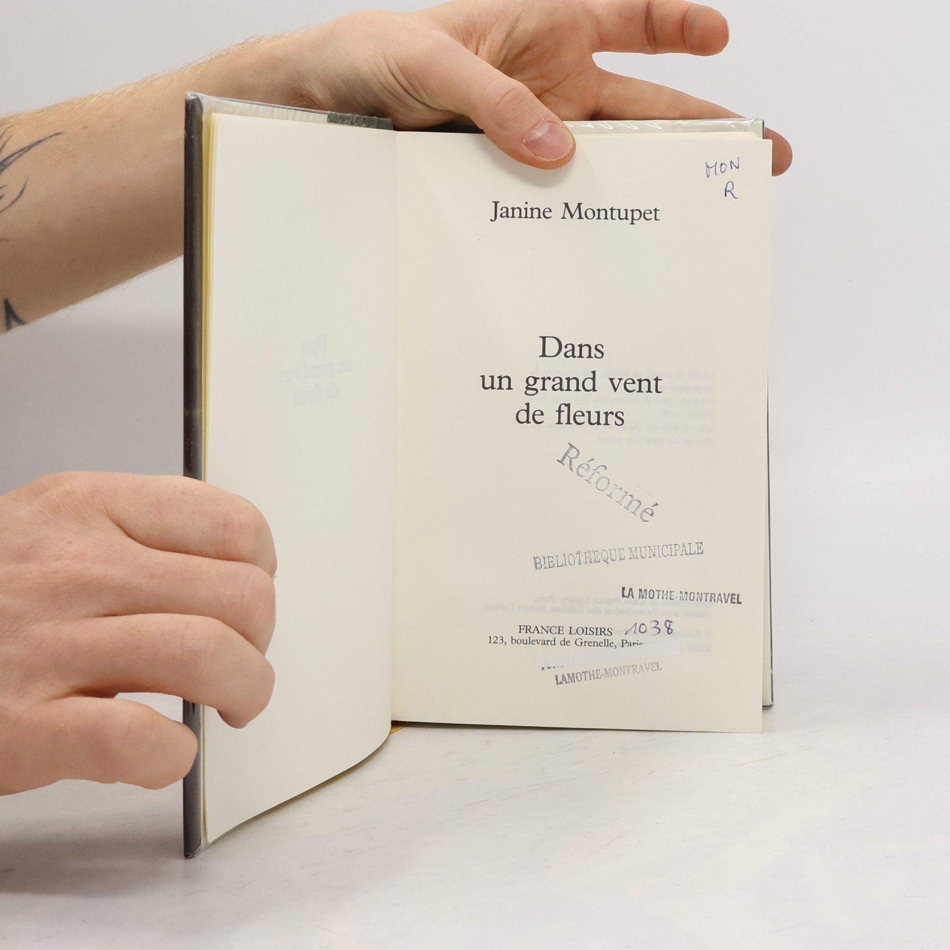 Janine Montupet Dans un grand vent de fleurs