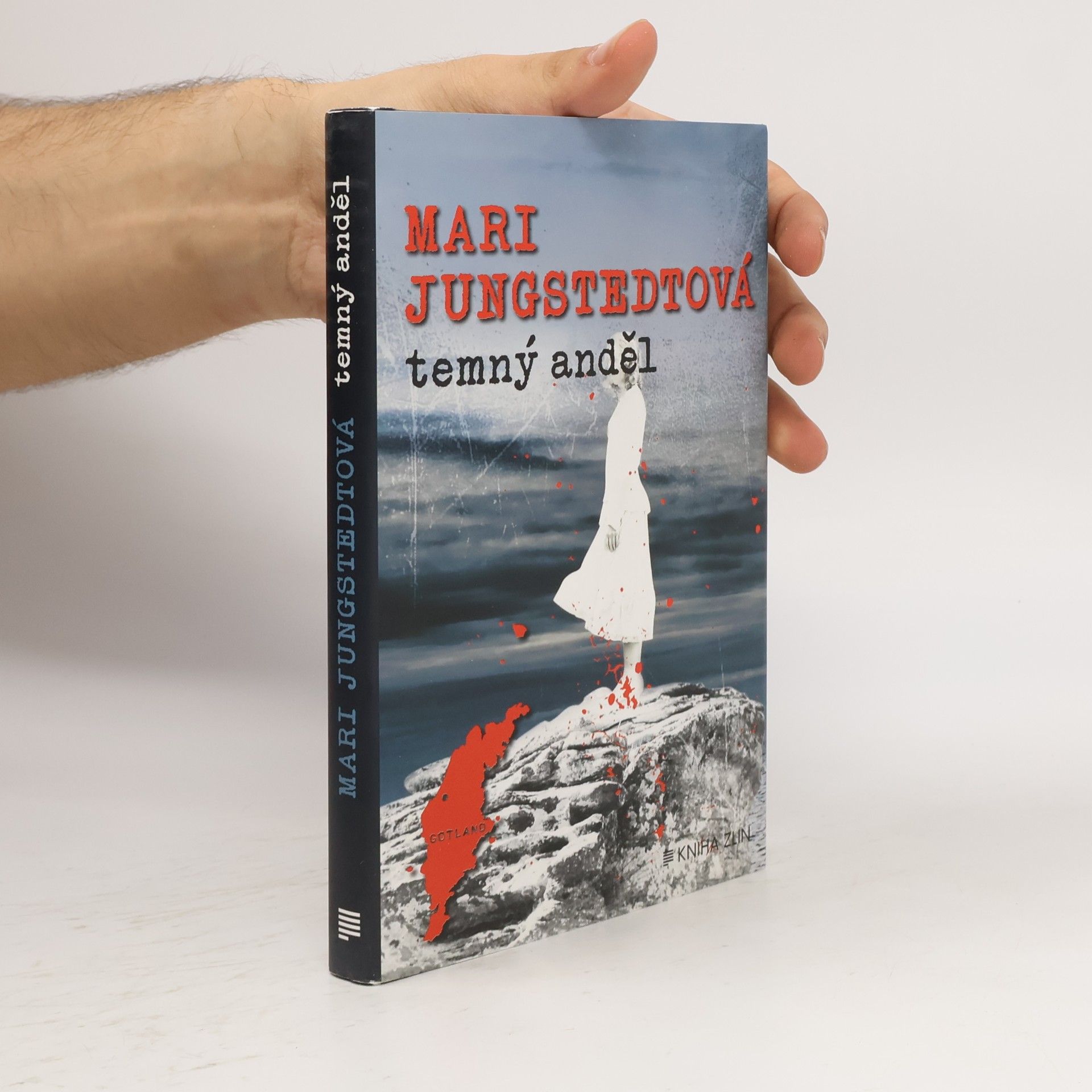 Mari Jungstedt Temný anděl