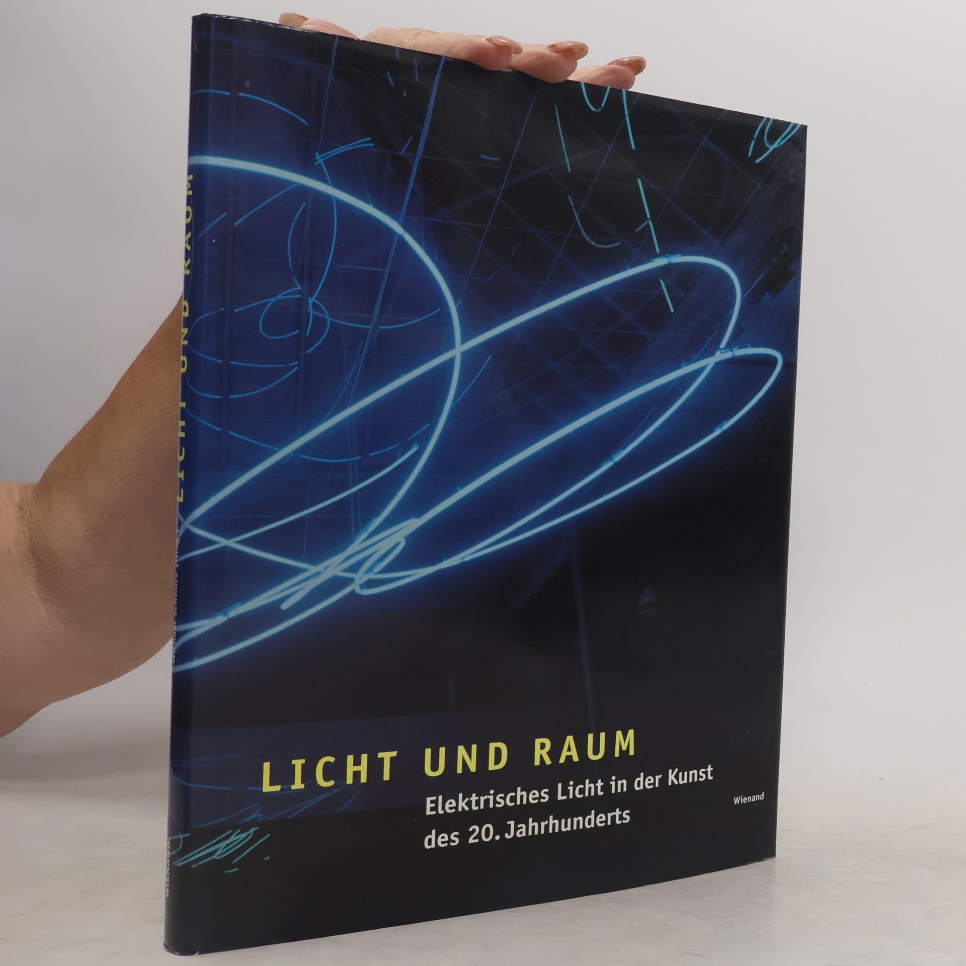 Michael Schwarz Licht und Raum: Elektrisches Licht in der Kunst des 20. Jahrhunderts