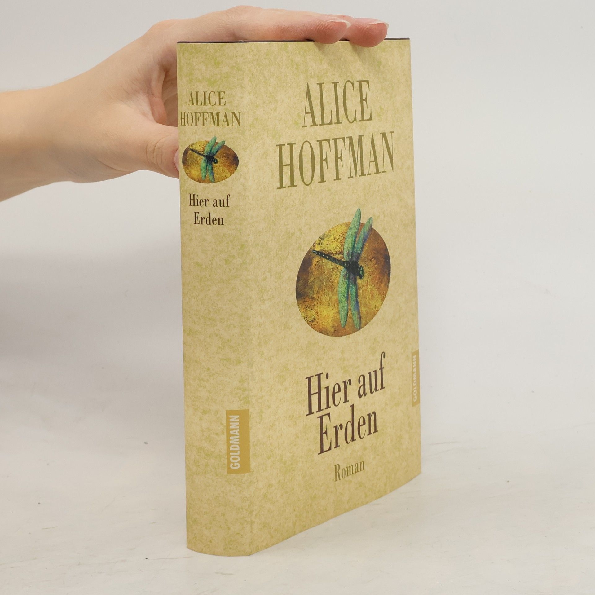 Alice Hoffman Hier auf Erden