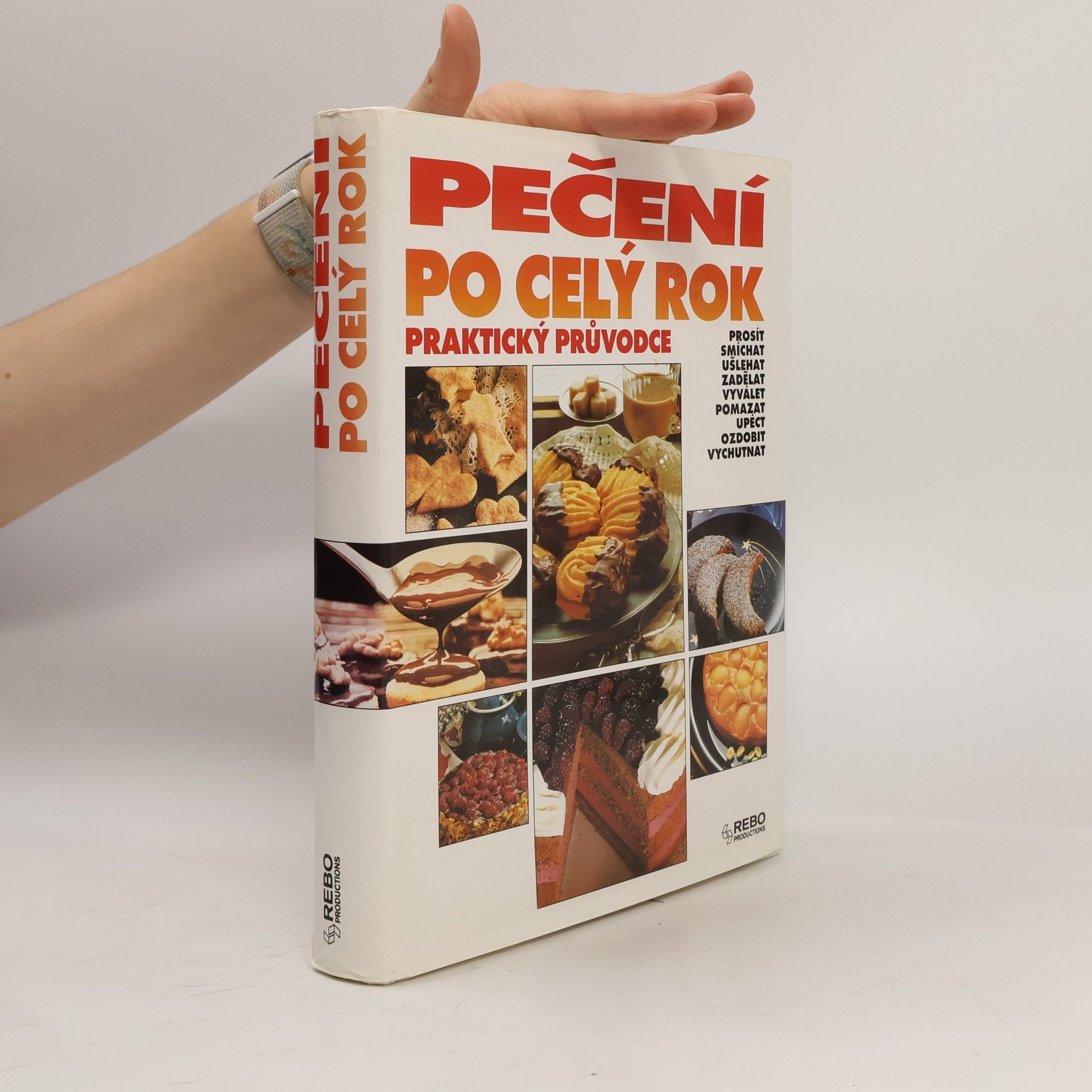 Hana Hejnalová Pečení po celý rok : praktický průvodce