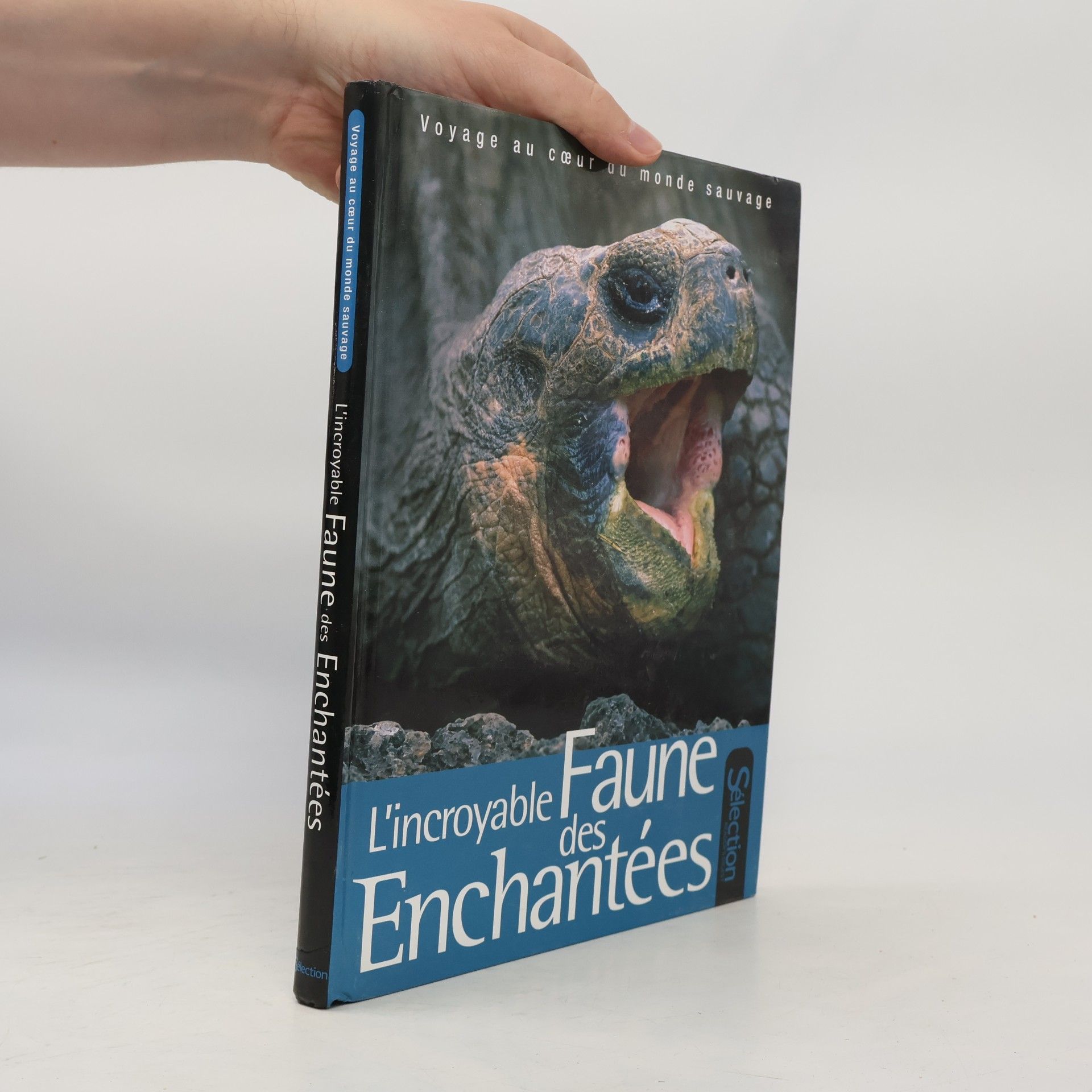 kolektiv L'incroyable faune des enchantées