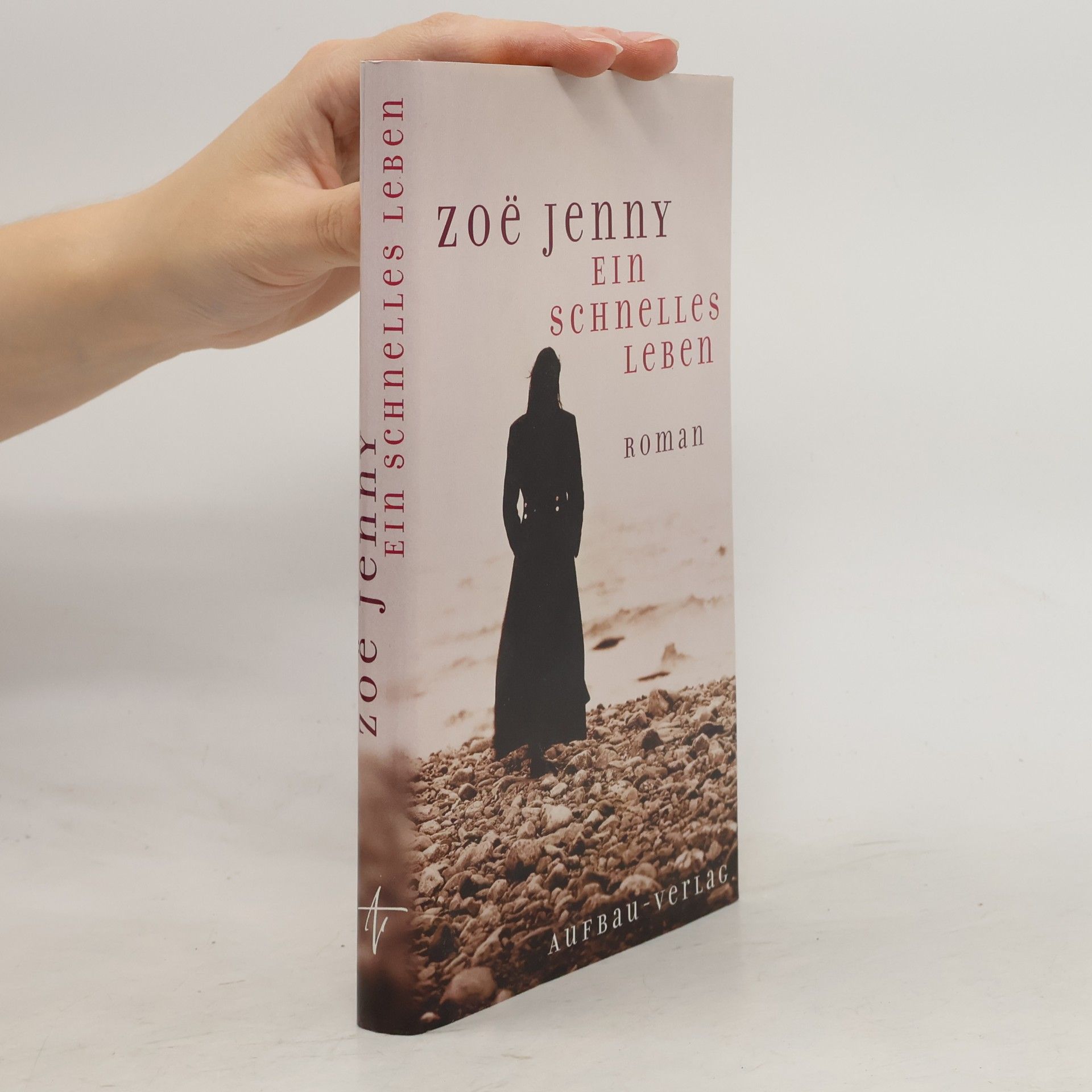 Zoë Jenny Ein schnelles Leben