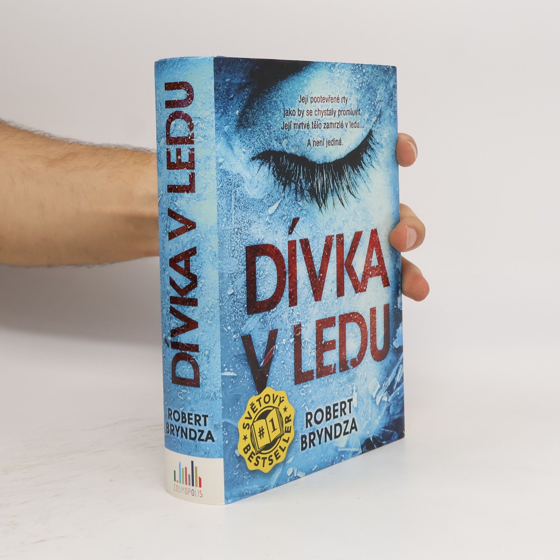 Dívka v ledu