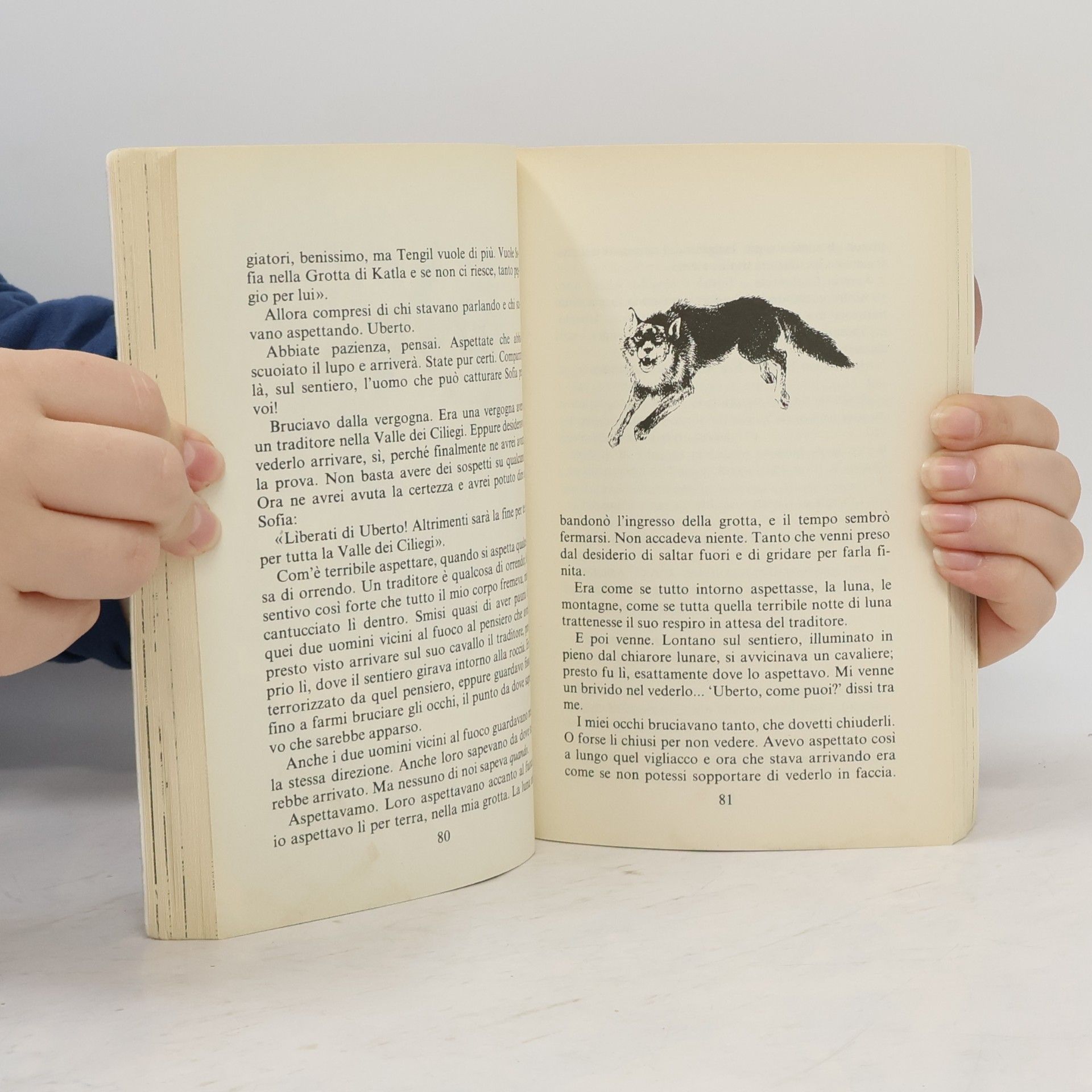 Astrid Lindgren Gli Istrici - 77: I fratelli Cuordileone